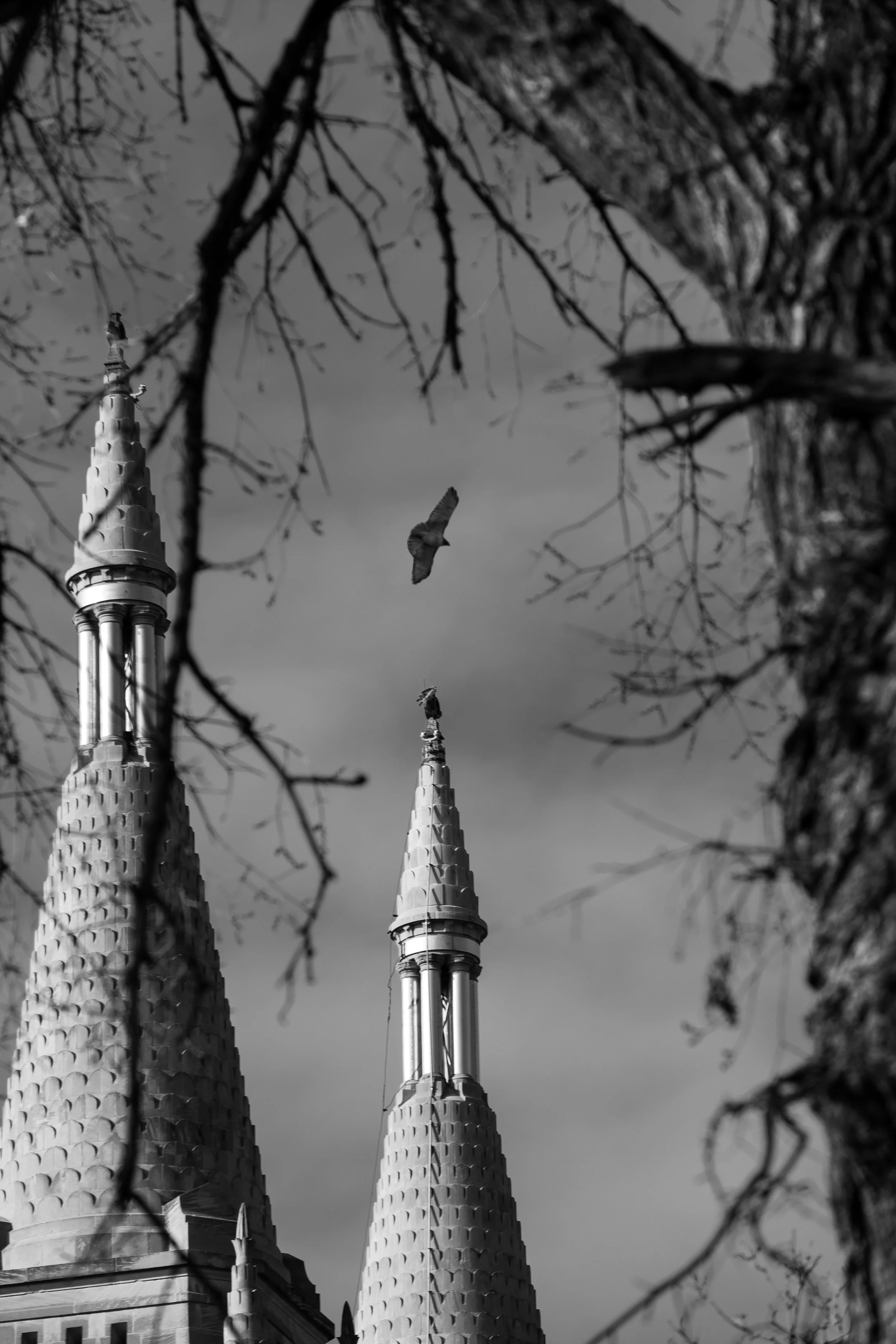 280226-QG092-037-Edit.jpg