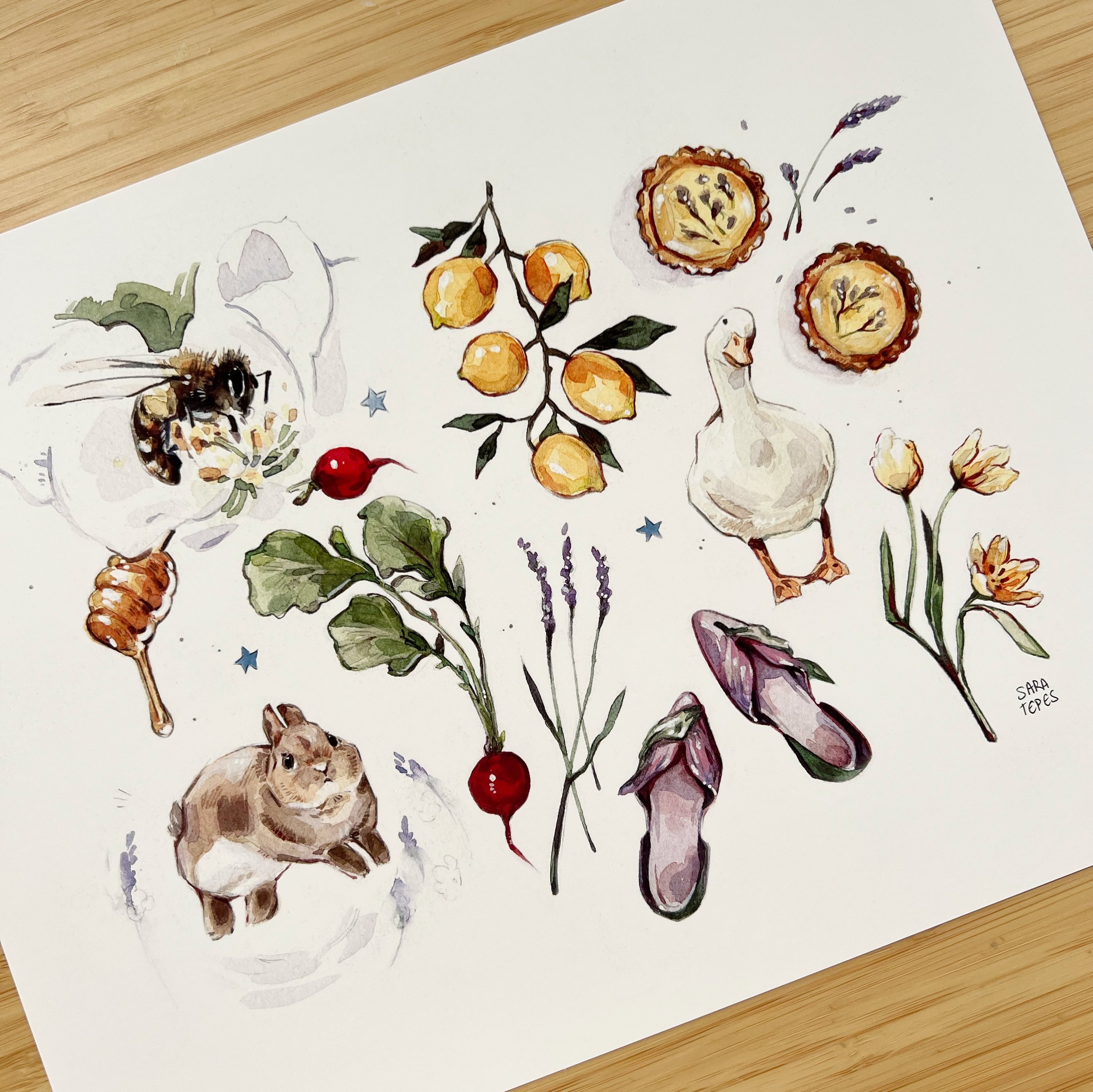 Fairy's Garden Print1.jpg