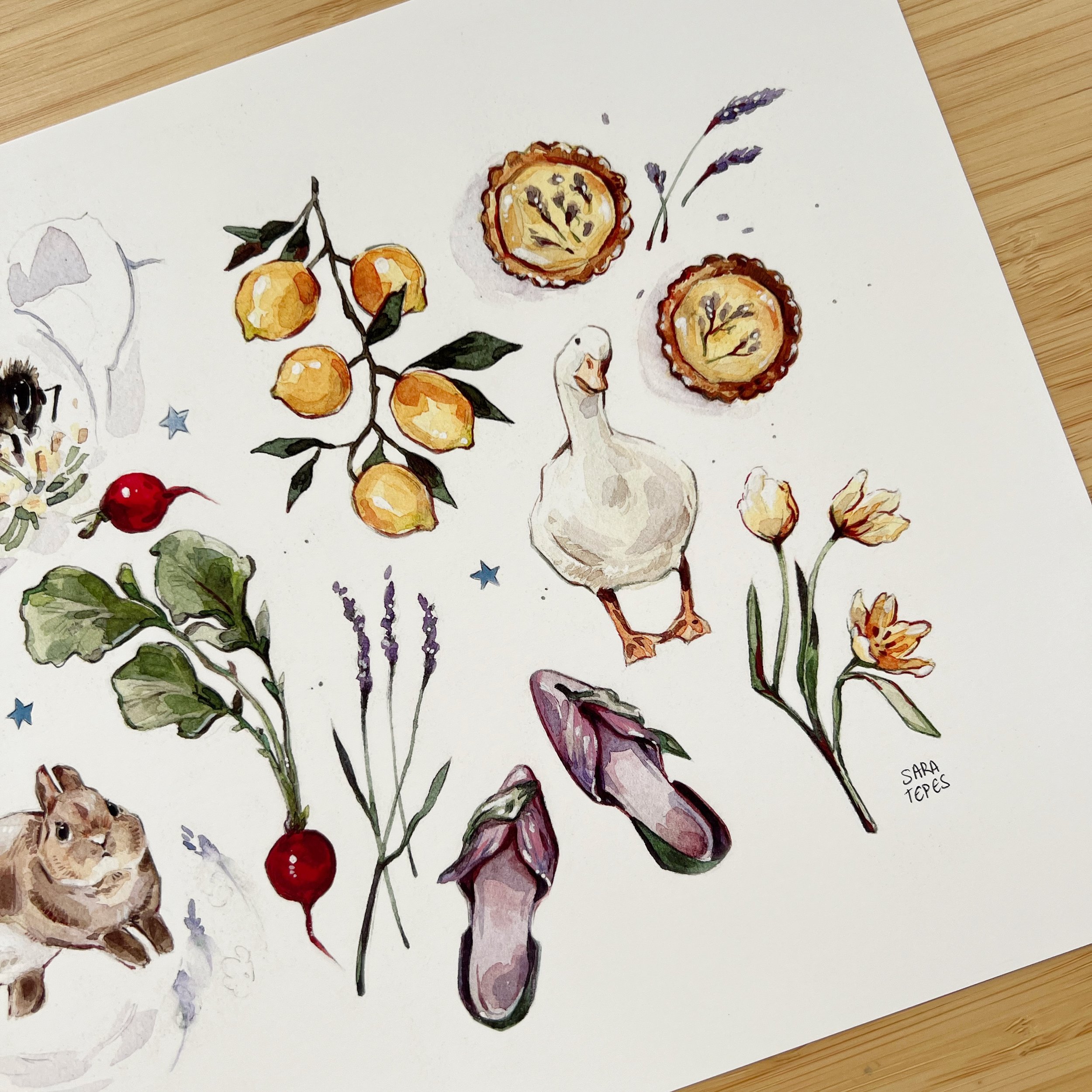 Fairy's Garden Print3.jpg