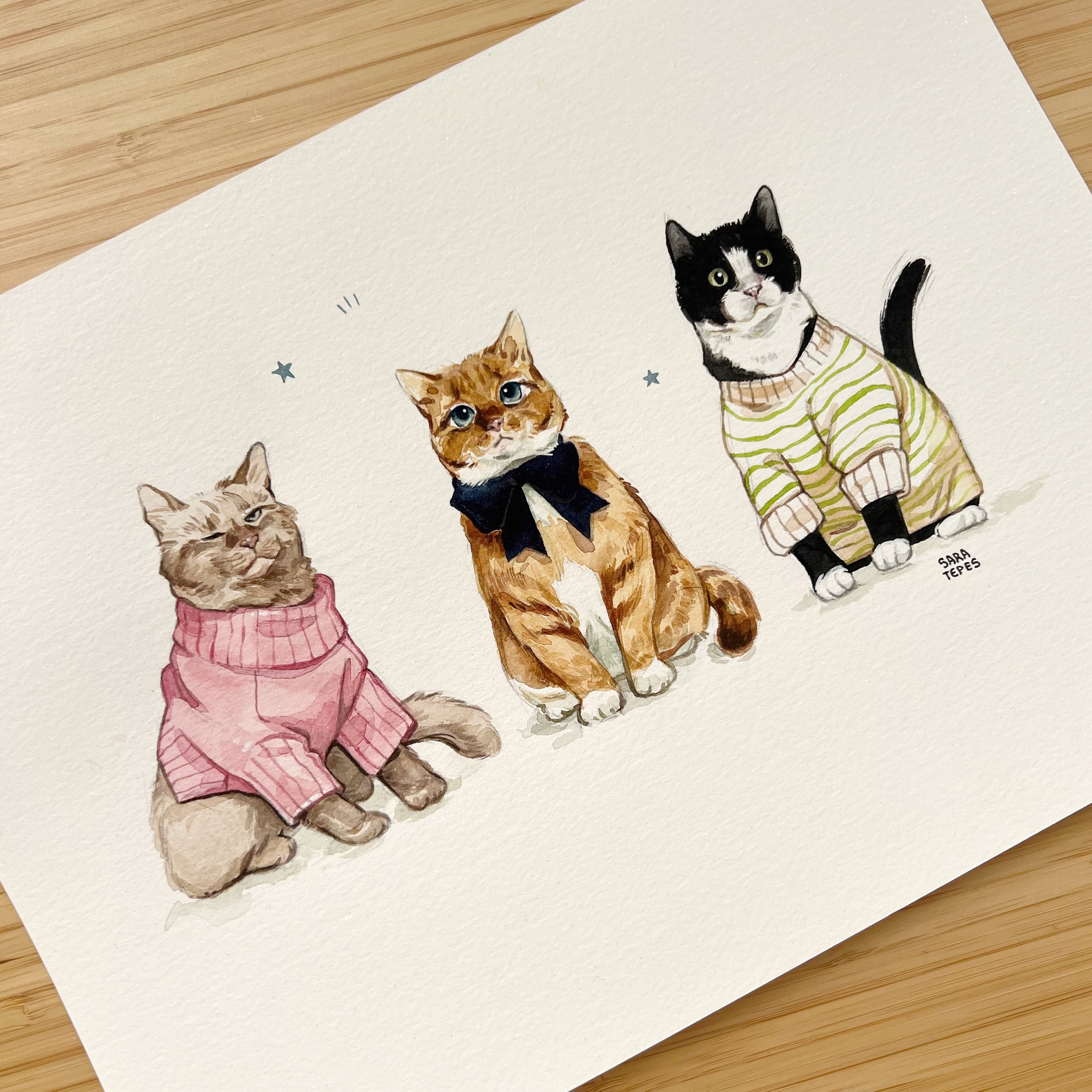 Cats in Sweaters original4.jpg