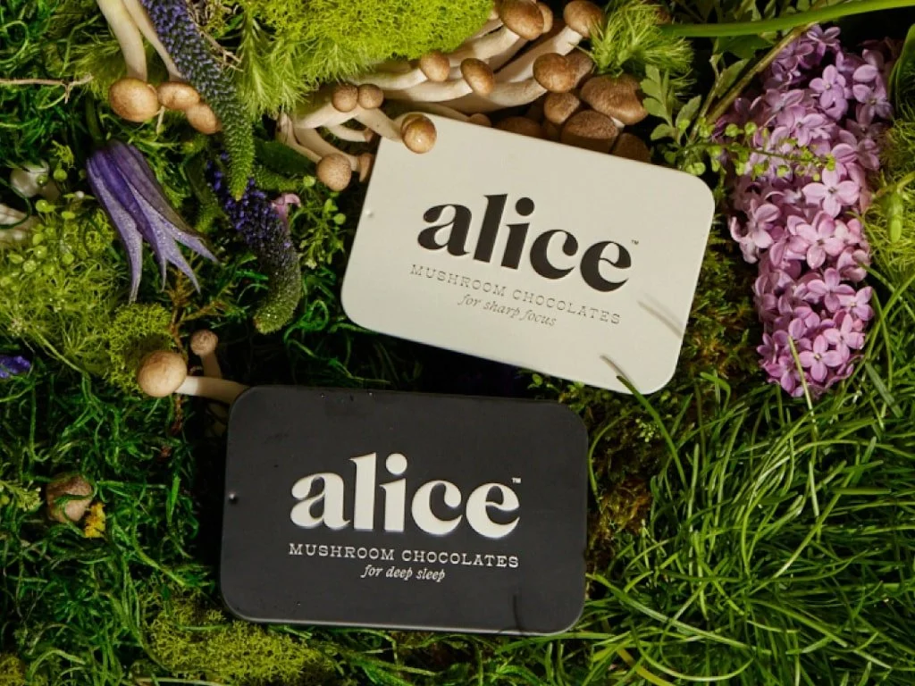 ADAGE_press_alice_mushroom_chocolates.jpg