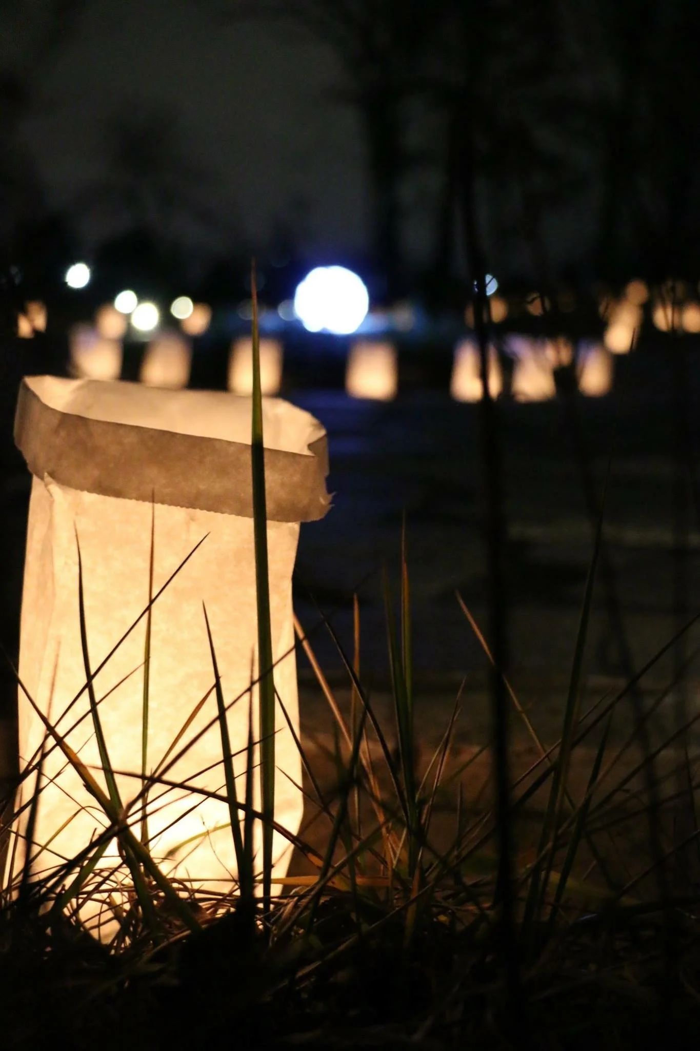 Embracing the night, awaken the light