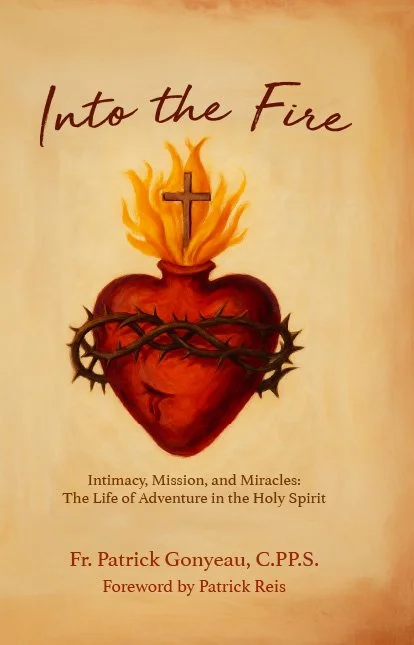 Fr Patrick Gonyeau Book, Into the Fire book