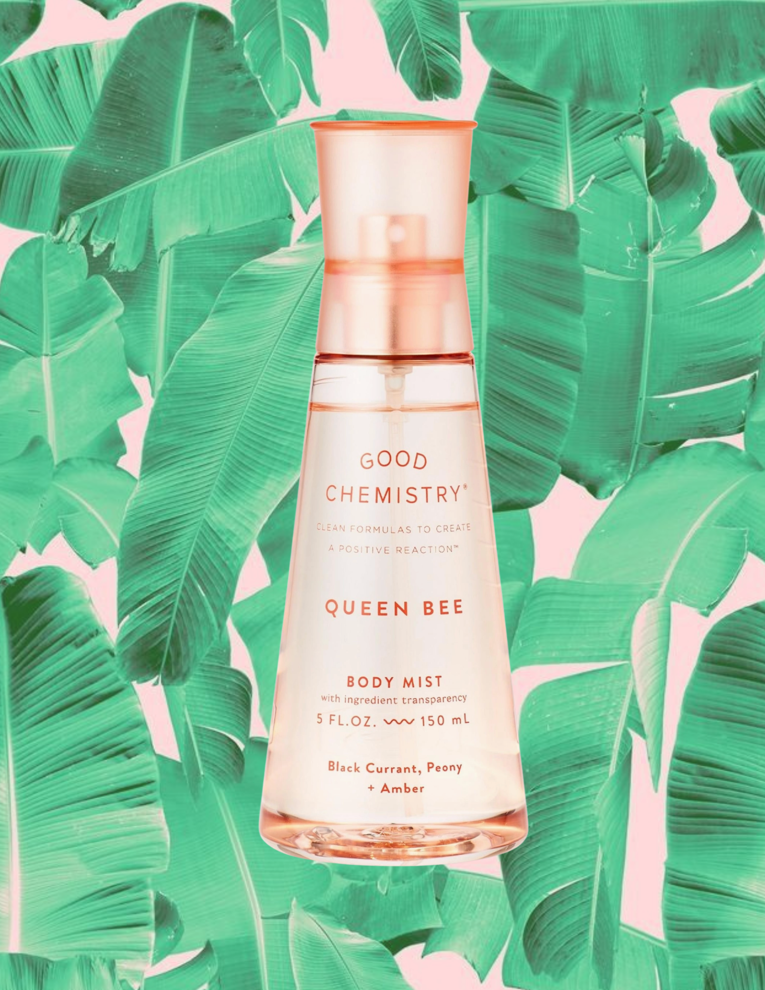 Website Photos - 2026-01-08T170510.518.png