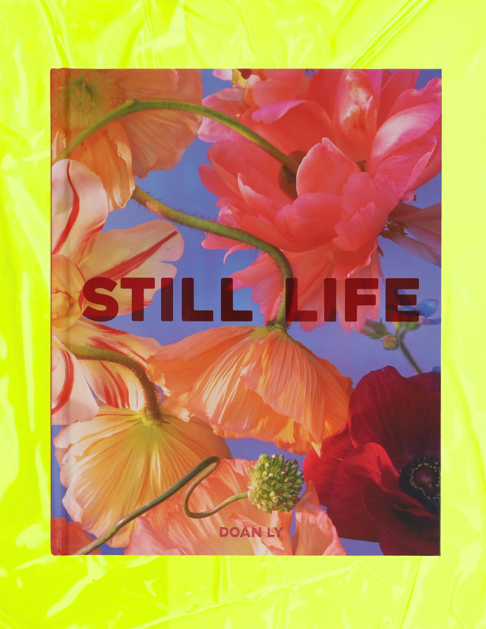 Still Life Book