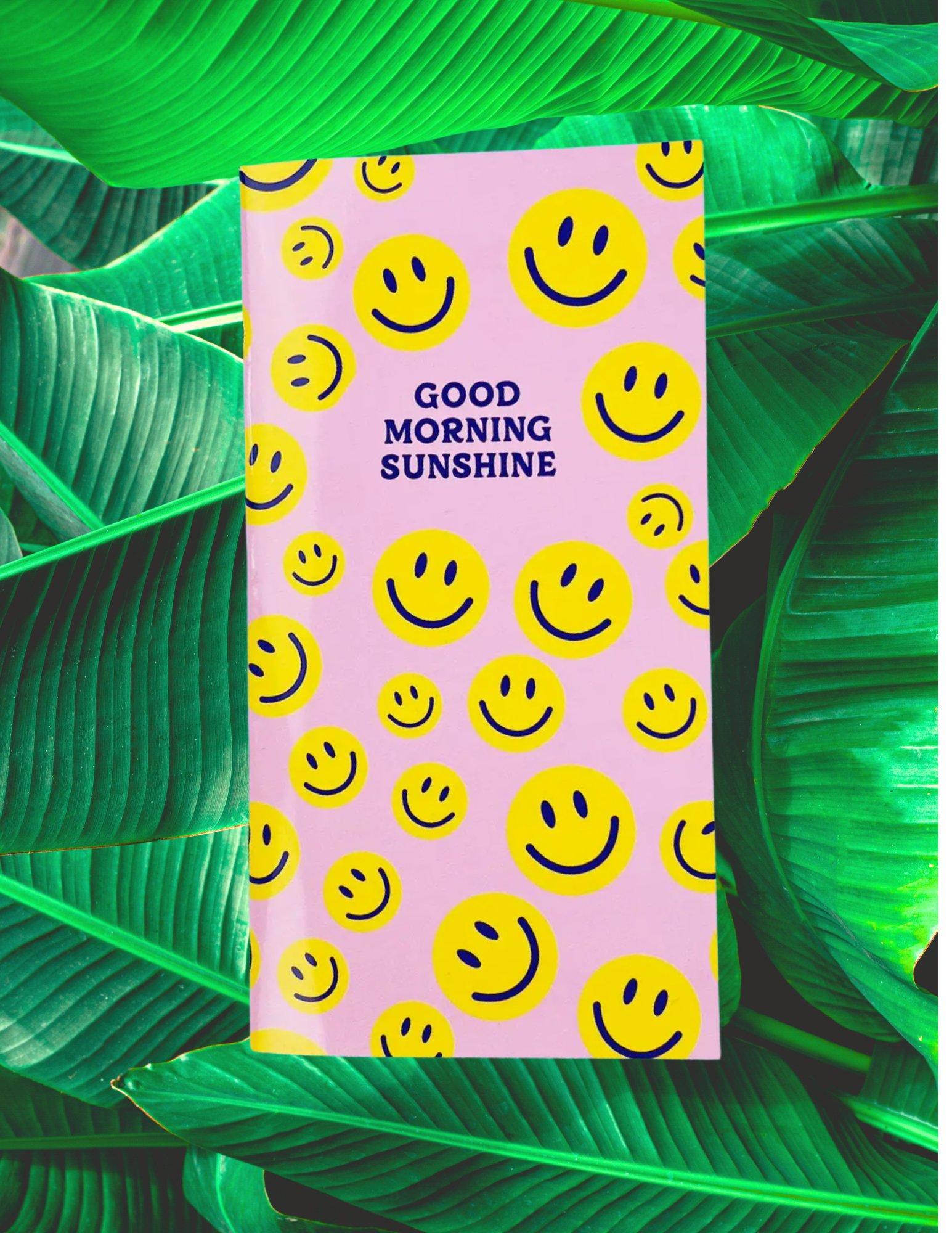 Website Photos - 2026-02-24T165854.125.png