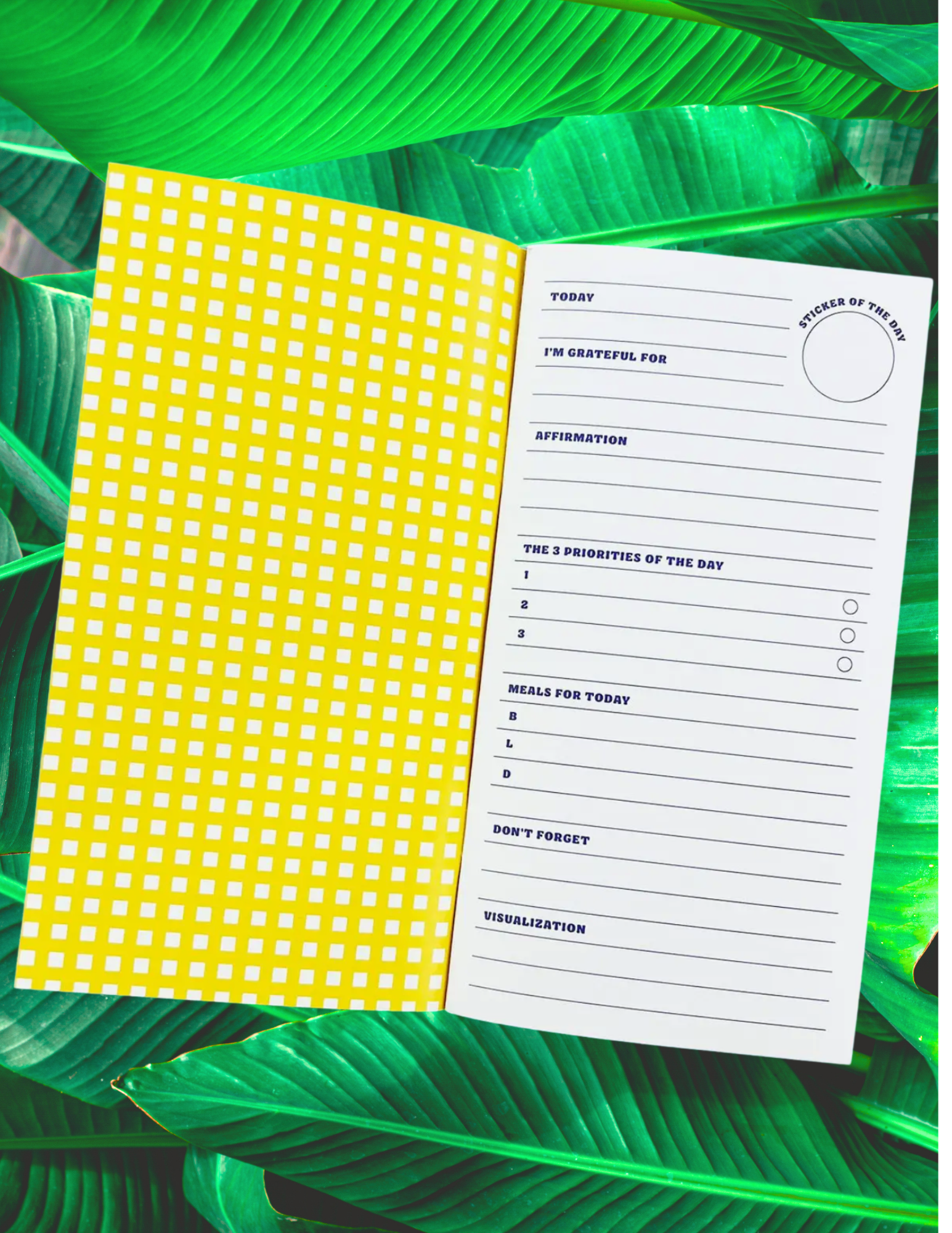 Website Photos - 2026-02-24T165928.201.png