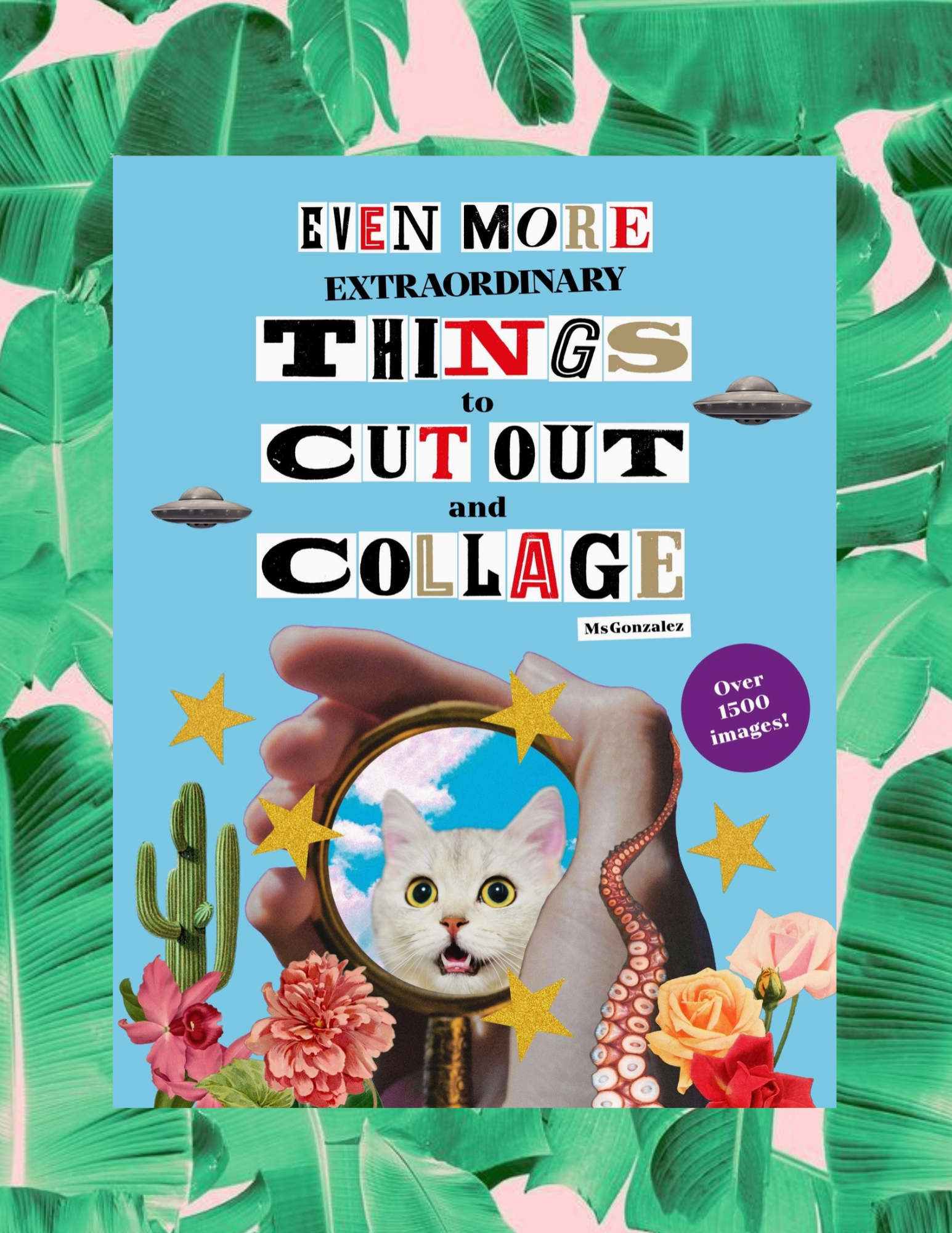 Website Photos - 2026-01-02T101842.991.png