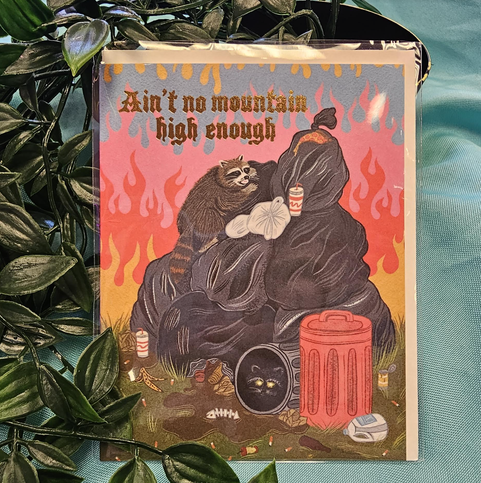 Ain't No Mountain High Enough Raccoon Card