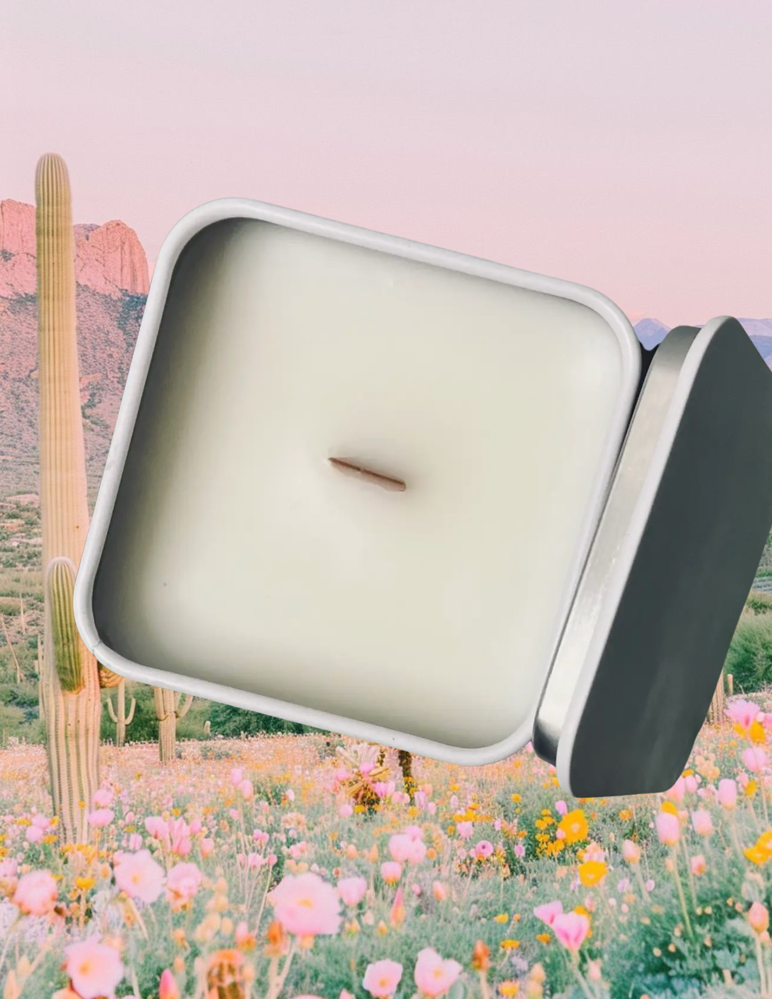 13.png