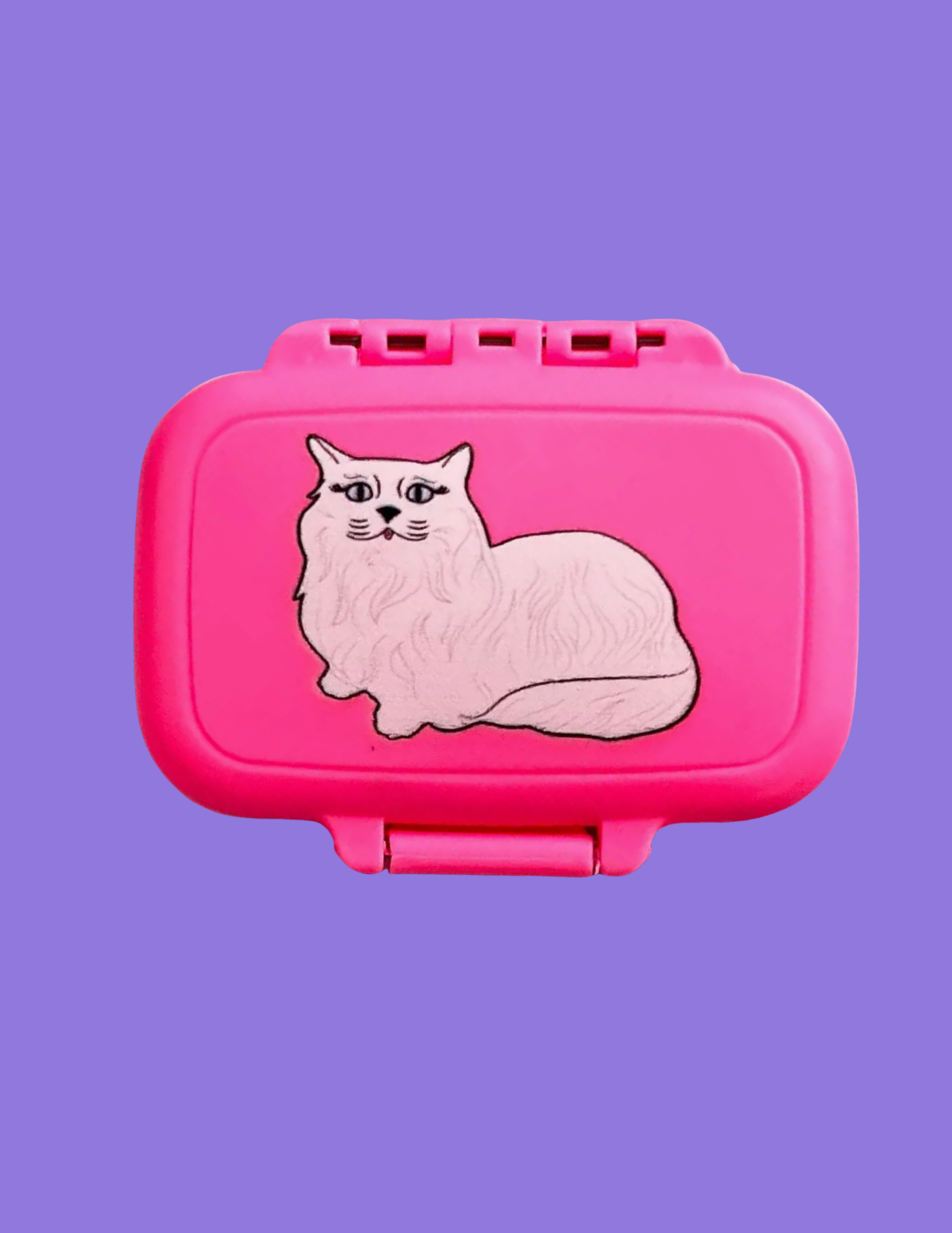Cat Pill Case