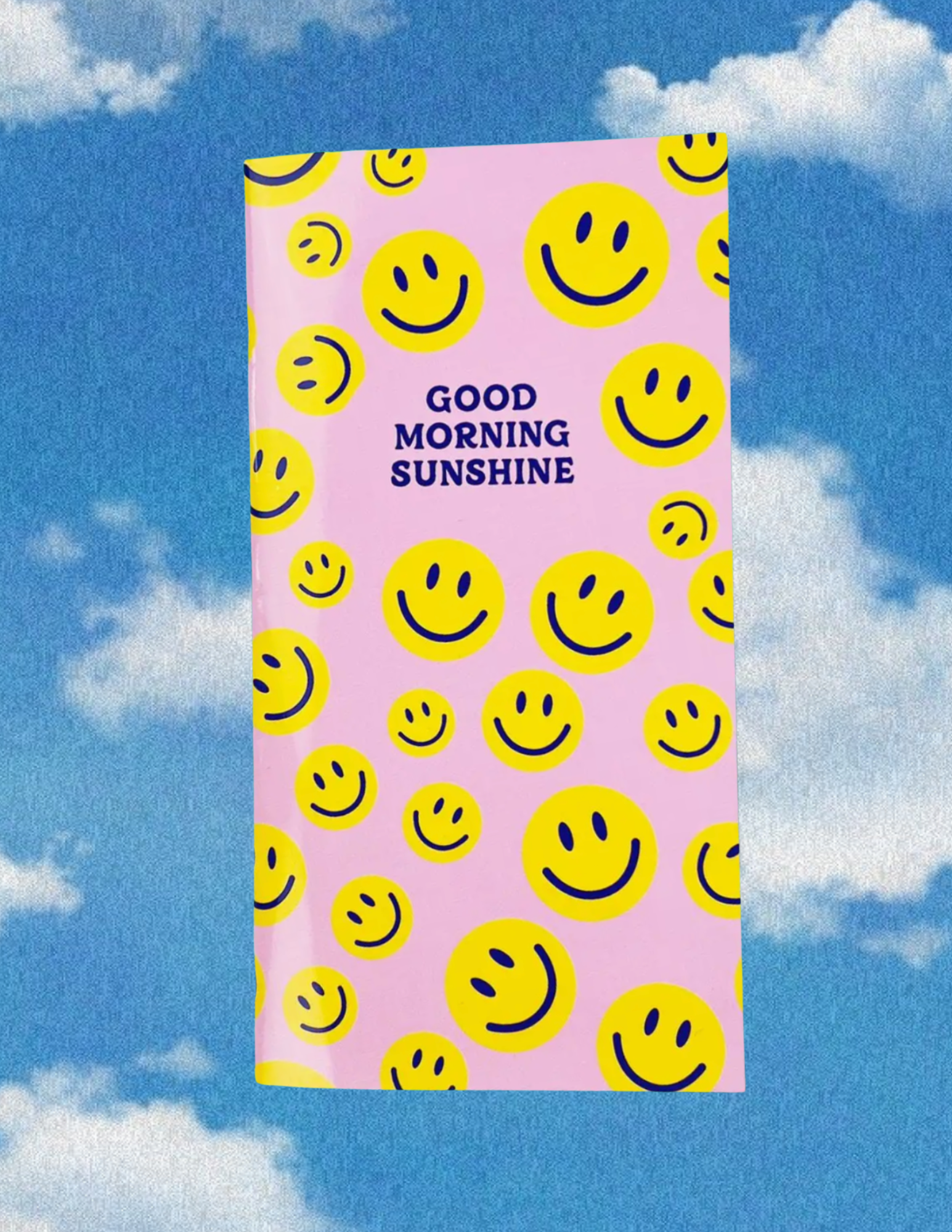 All Smiles Daily Focus Travelers Notebook