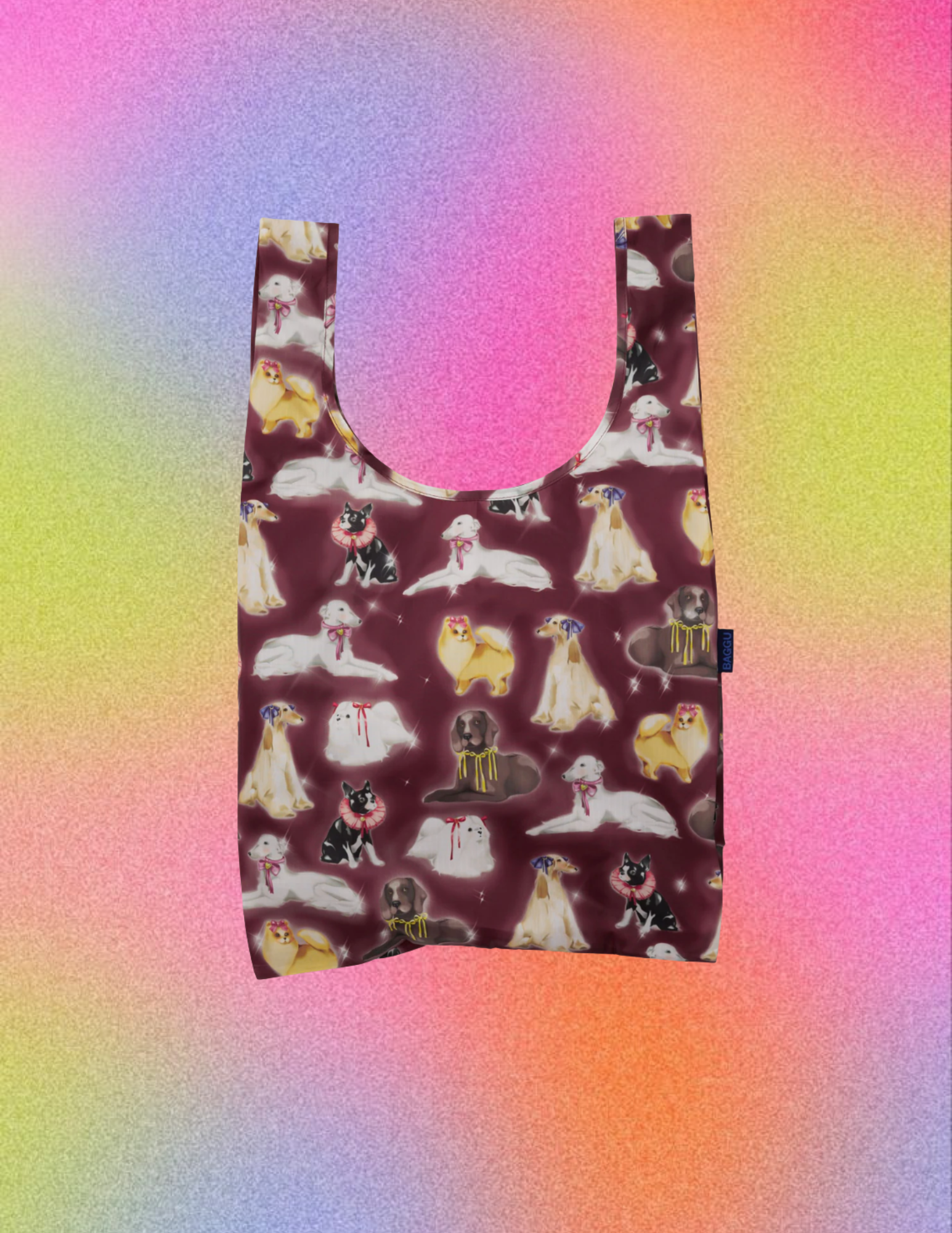 Website Photos - 2026-01-07T140903.162.png