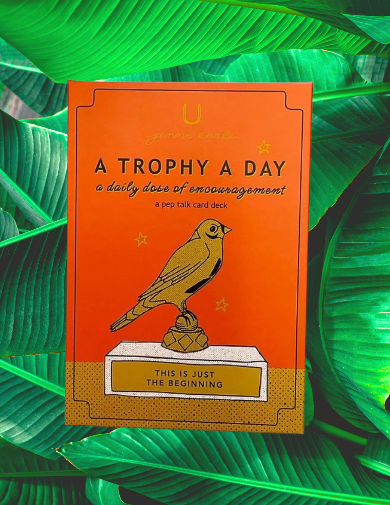 Website Photos (22).png