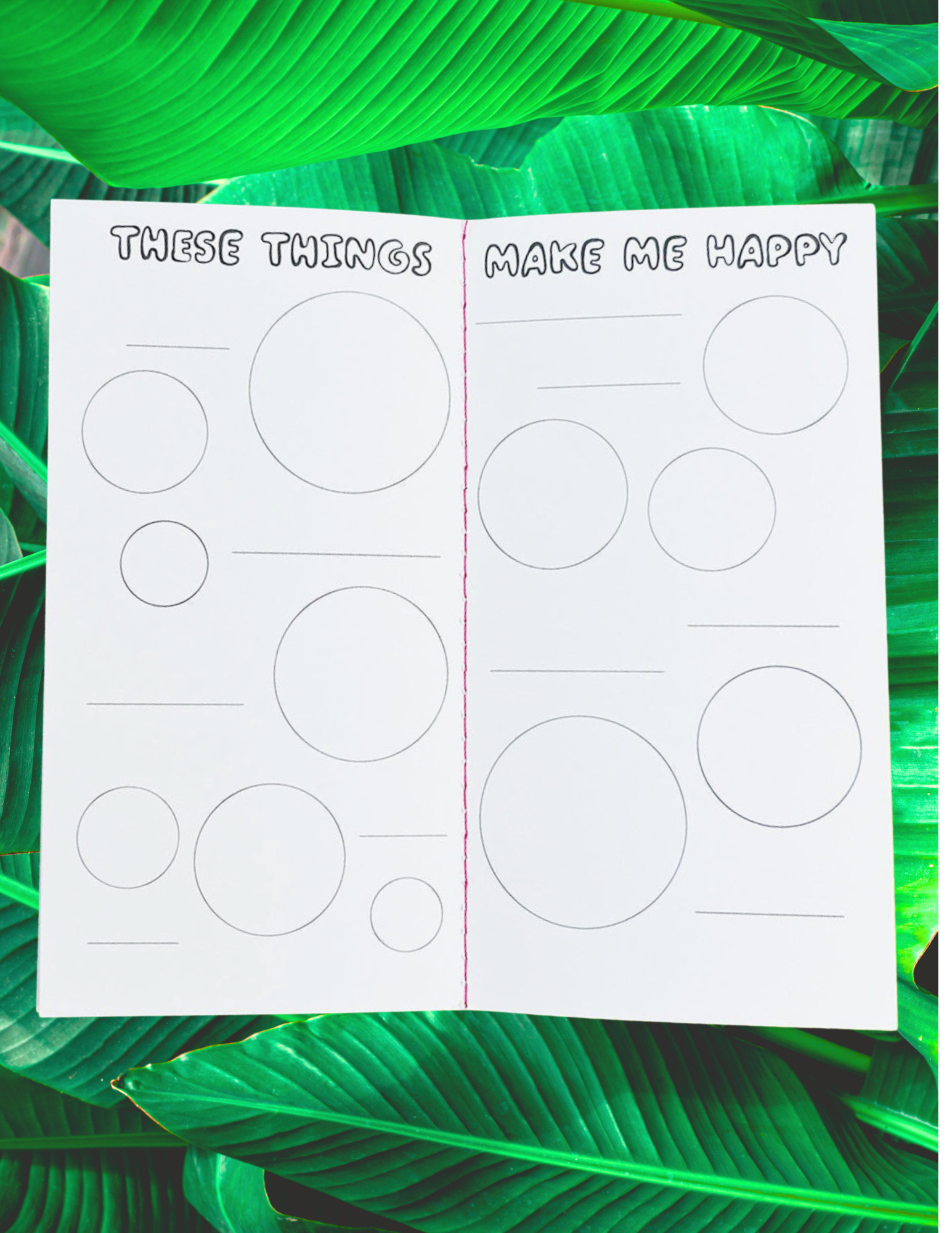 Website Photos - 2026-02-24T170311.597.png