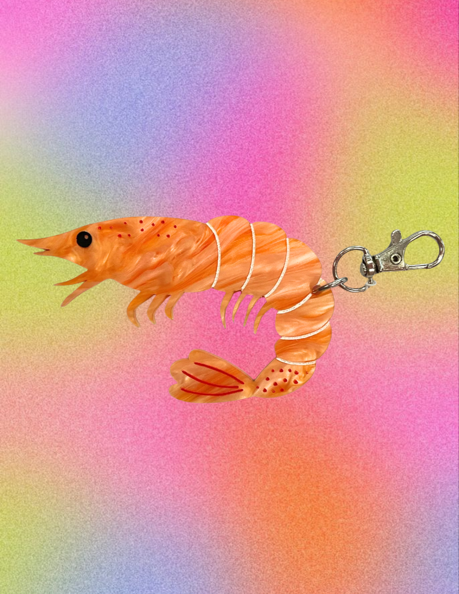 Website Photos - 2025-12-31T124649.265.png