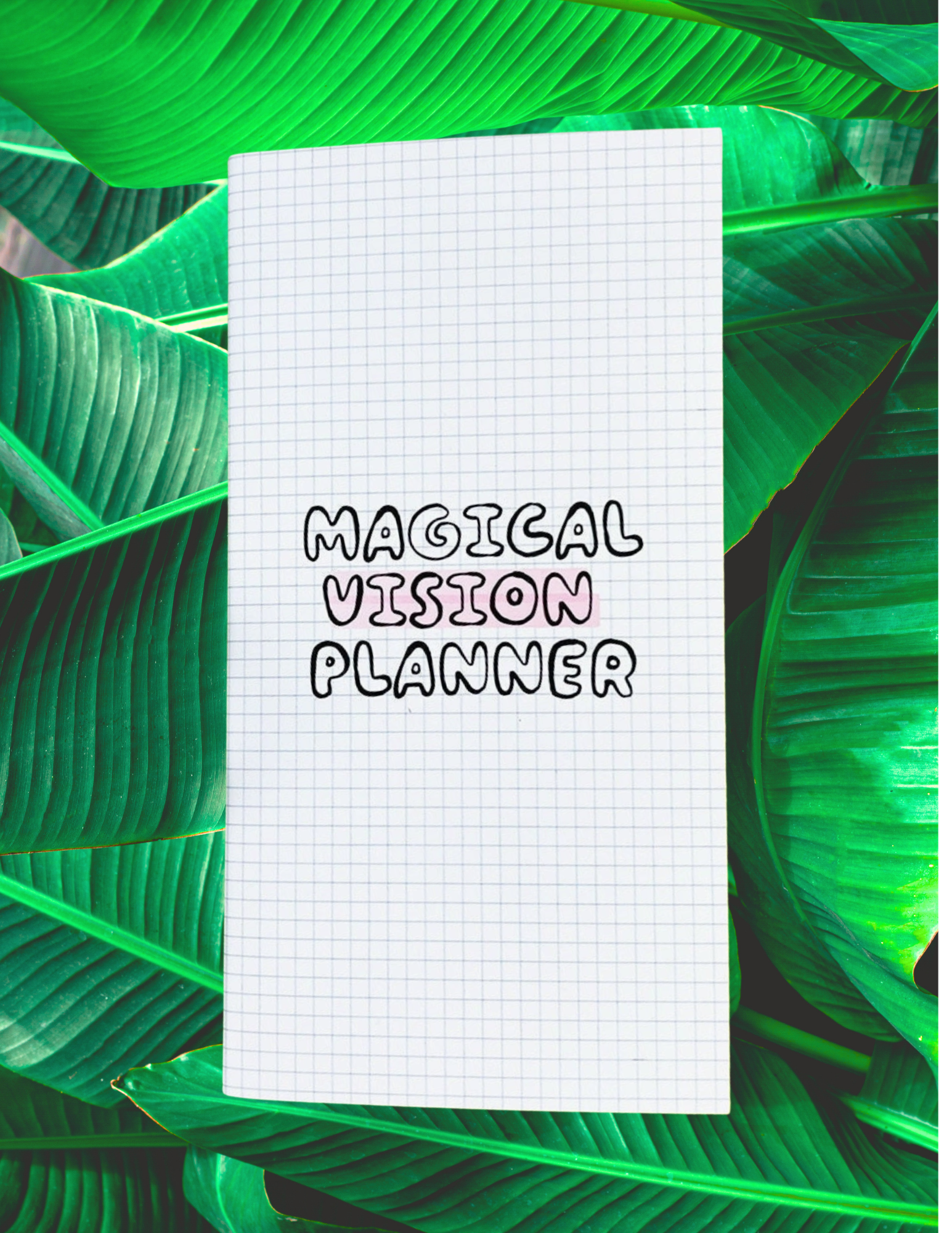 Website Photos - 2026-02-24T170103.843.png