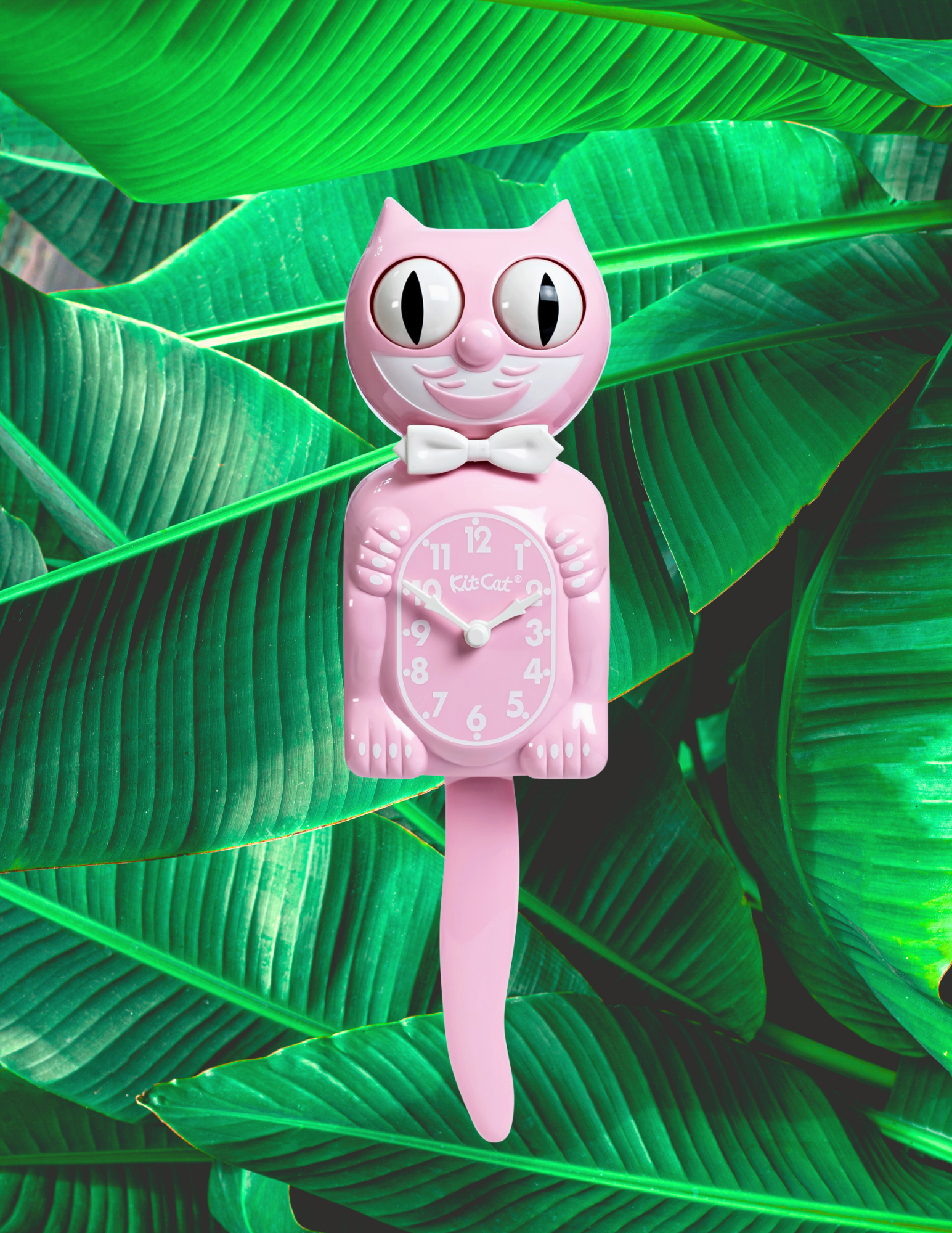 Website Photos - 2026-03-27T182243.258.png