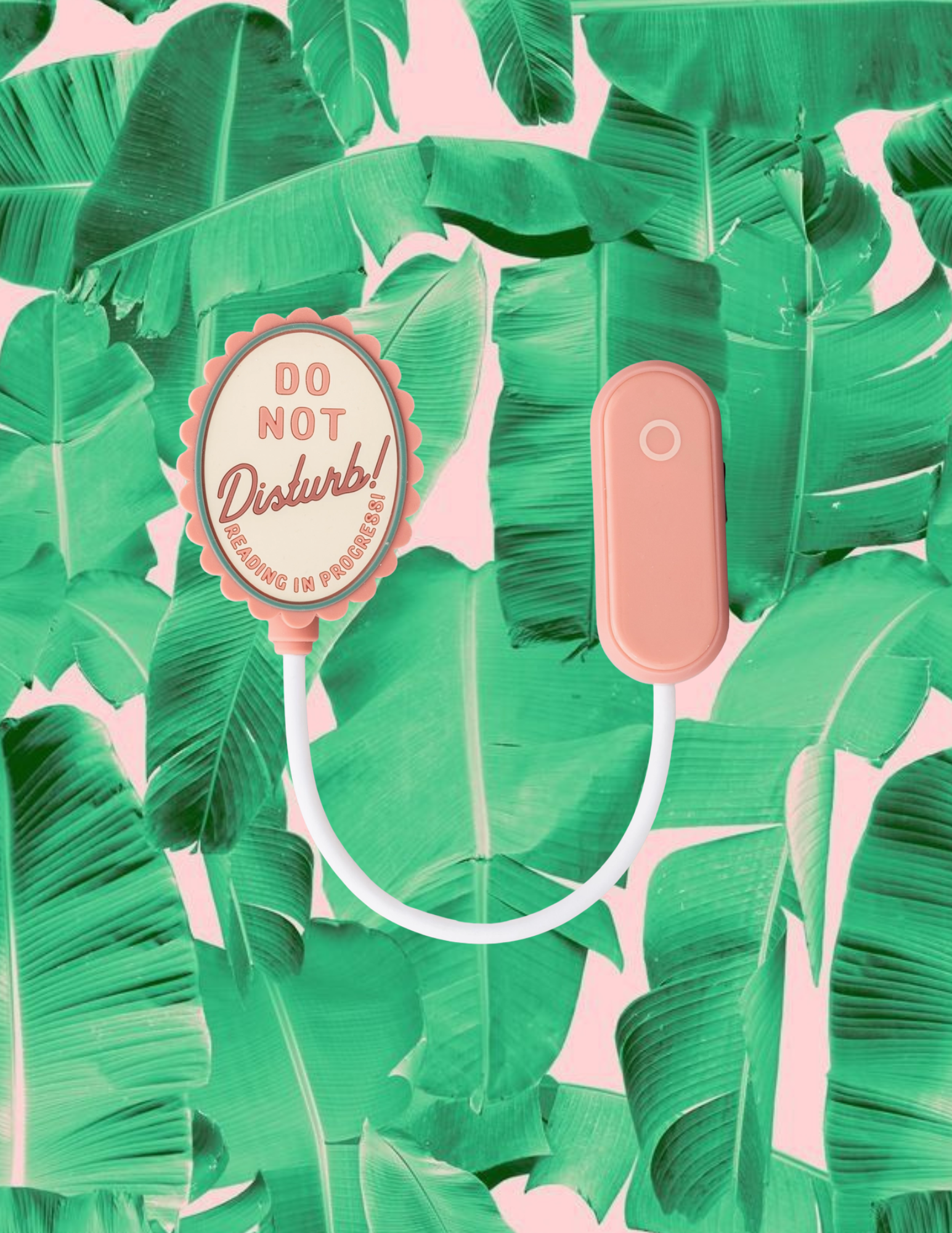 Website Photos (58).png