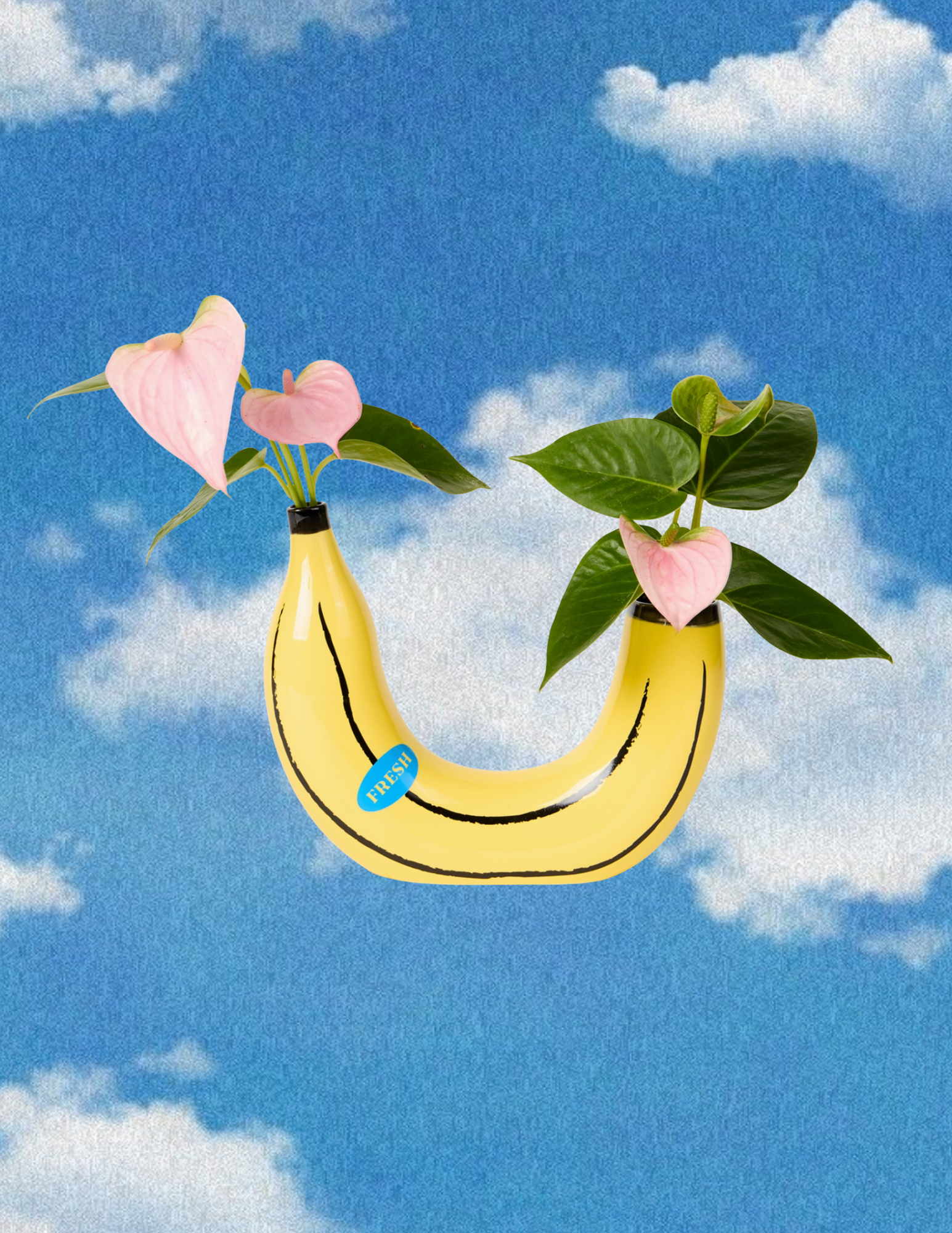 Website Photos (79).png