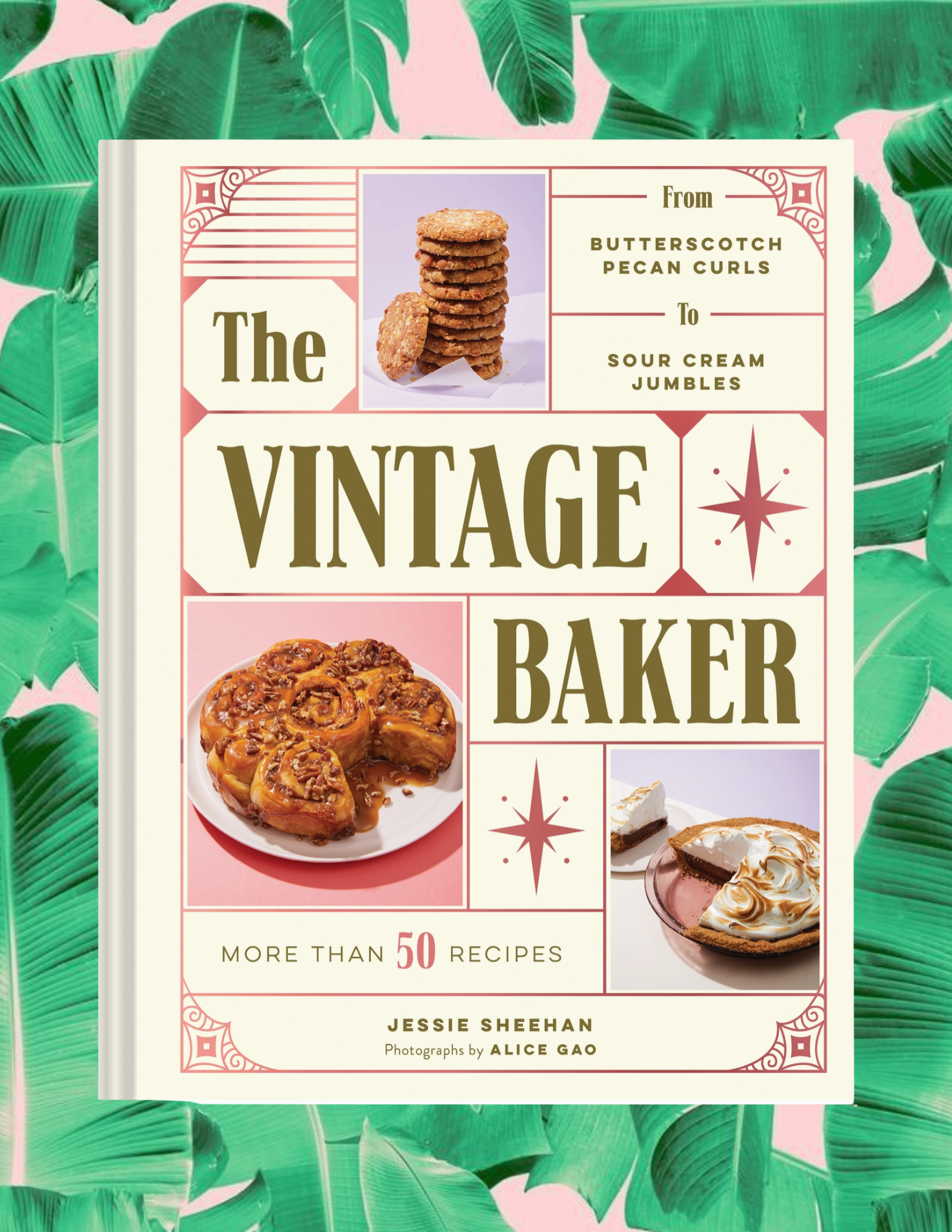 Website Photos - 2026-01-02T102033.817.png