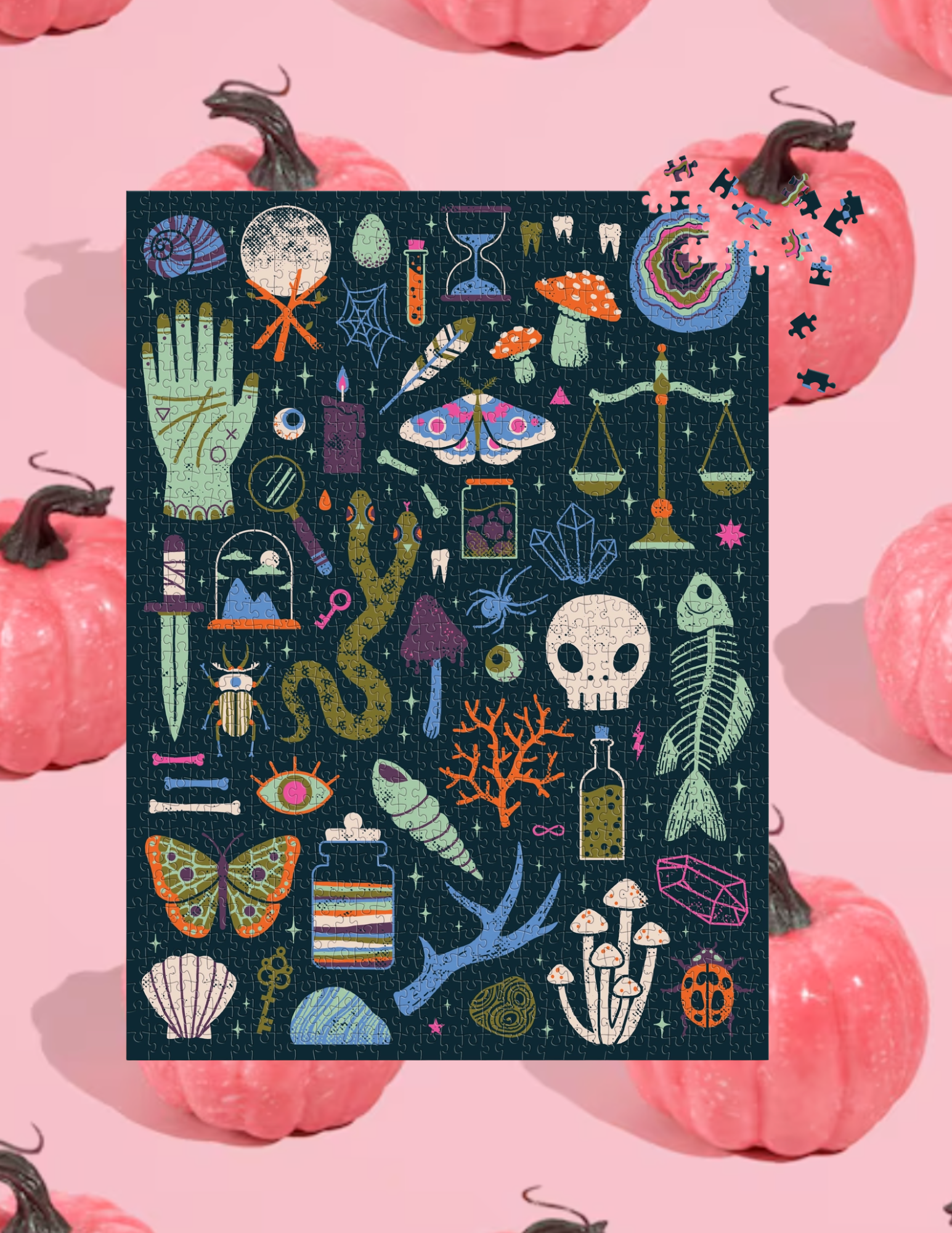 Website Photos (19).png