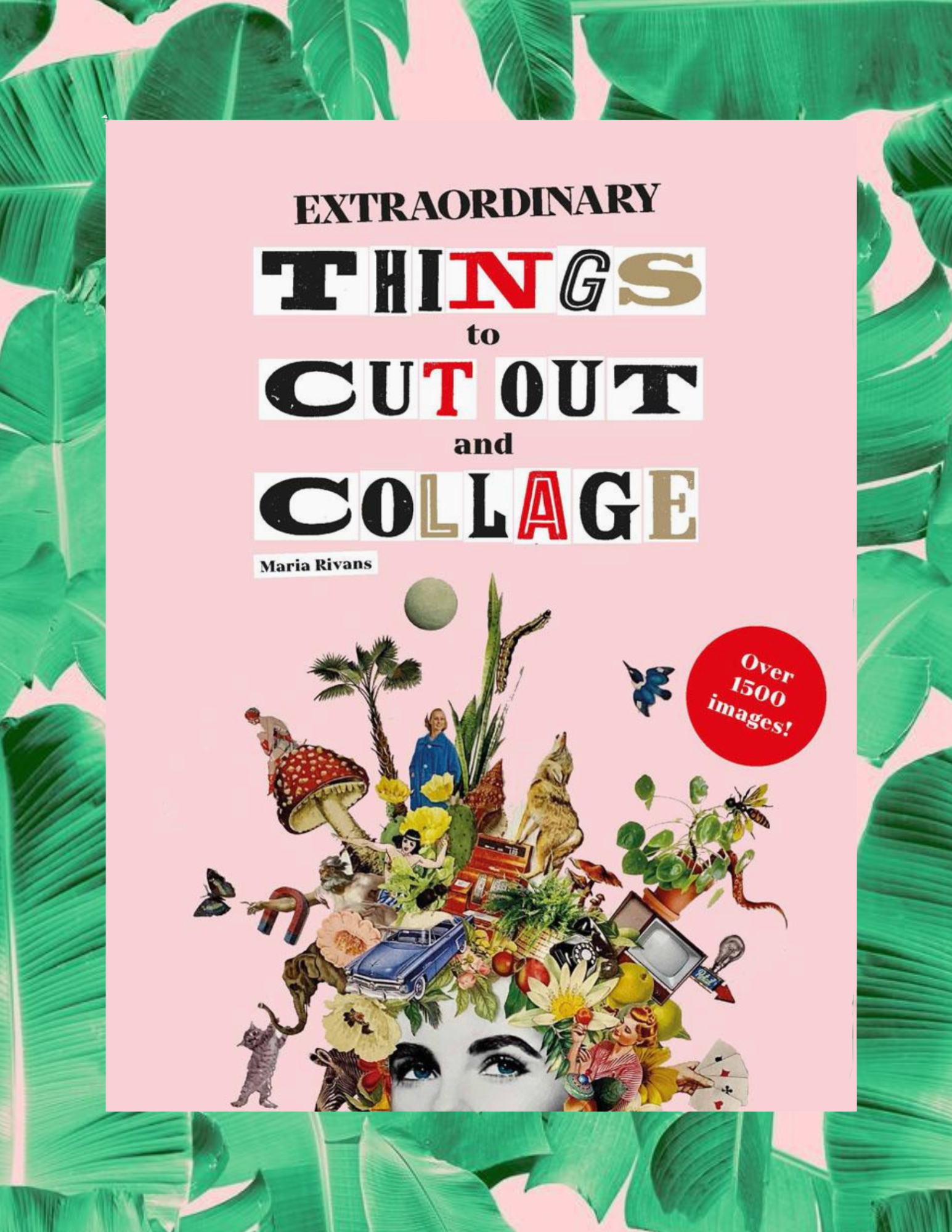 Website Photos - 2026-01-02T101817.811.png