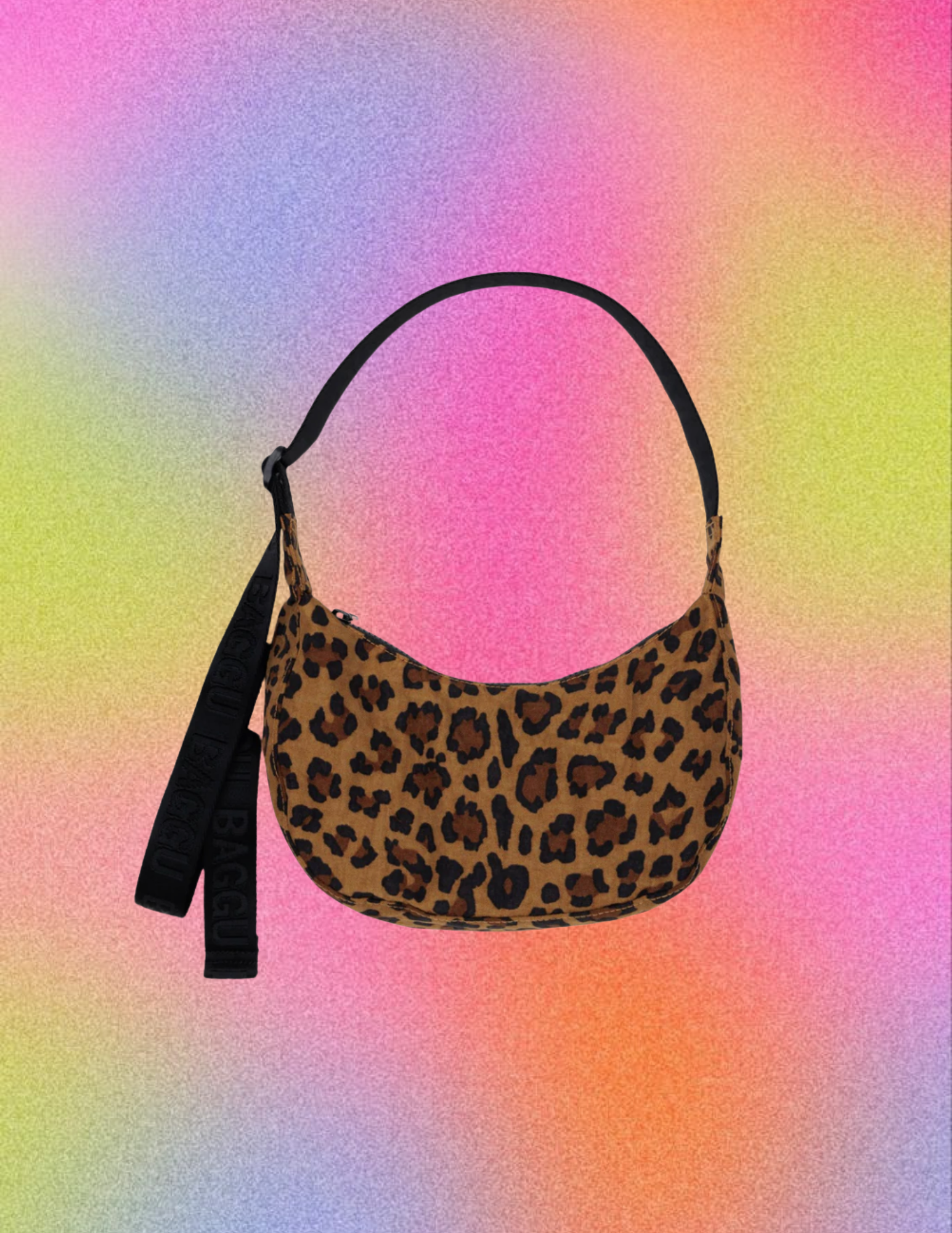 Website Photos (81).png