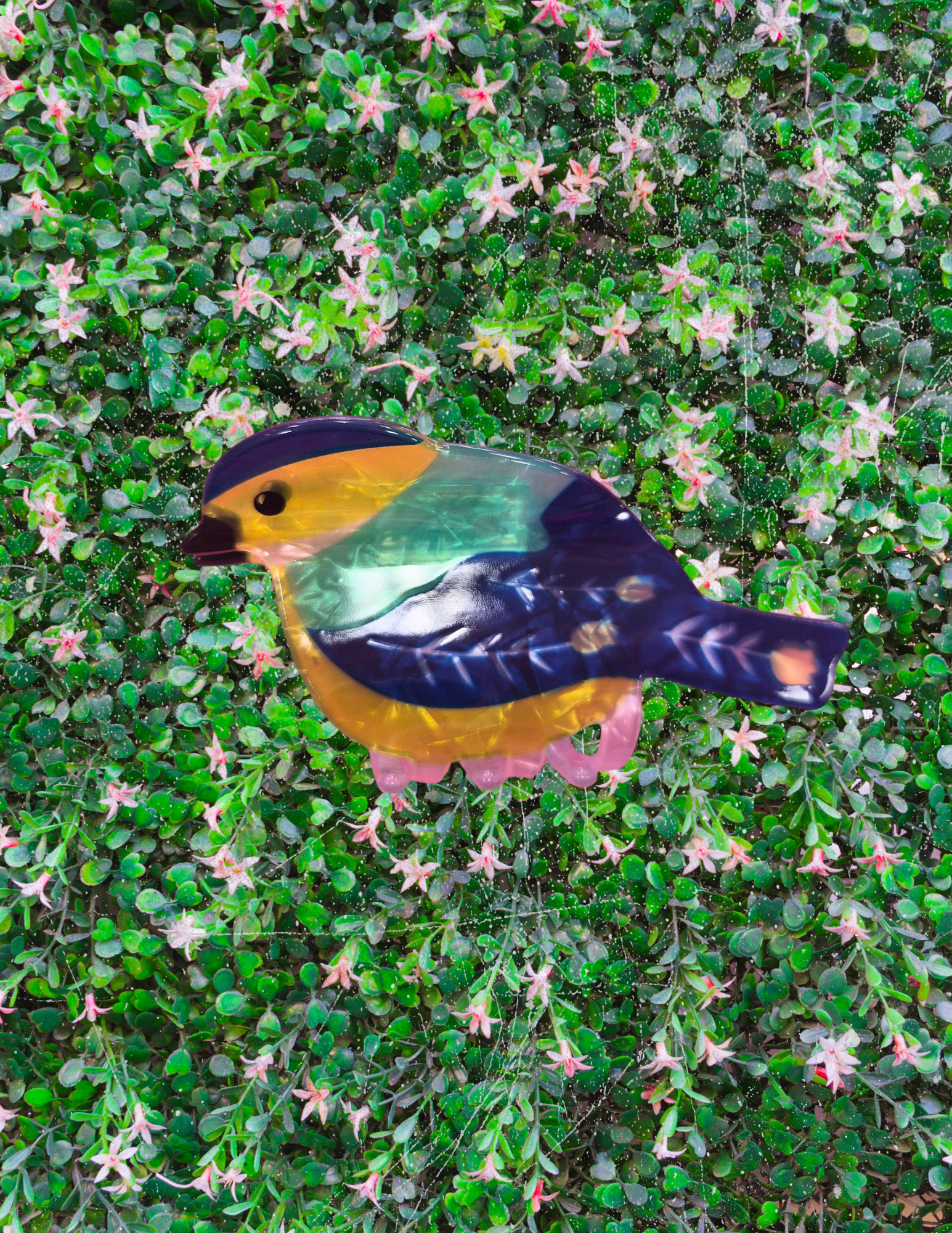 Website Photos (48).png