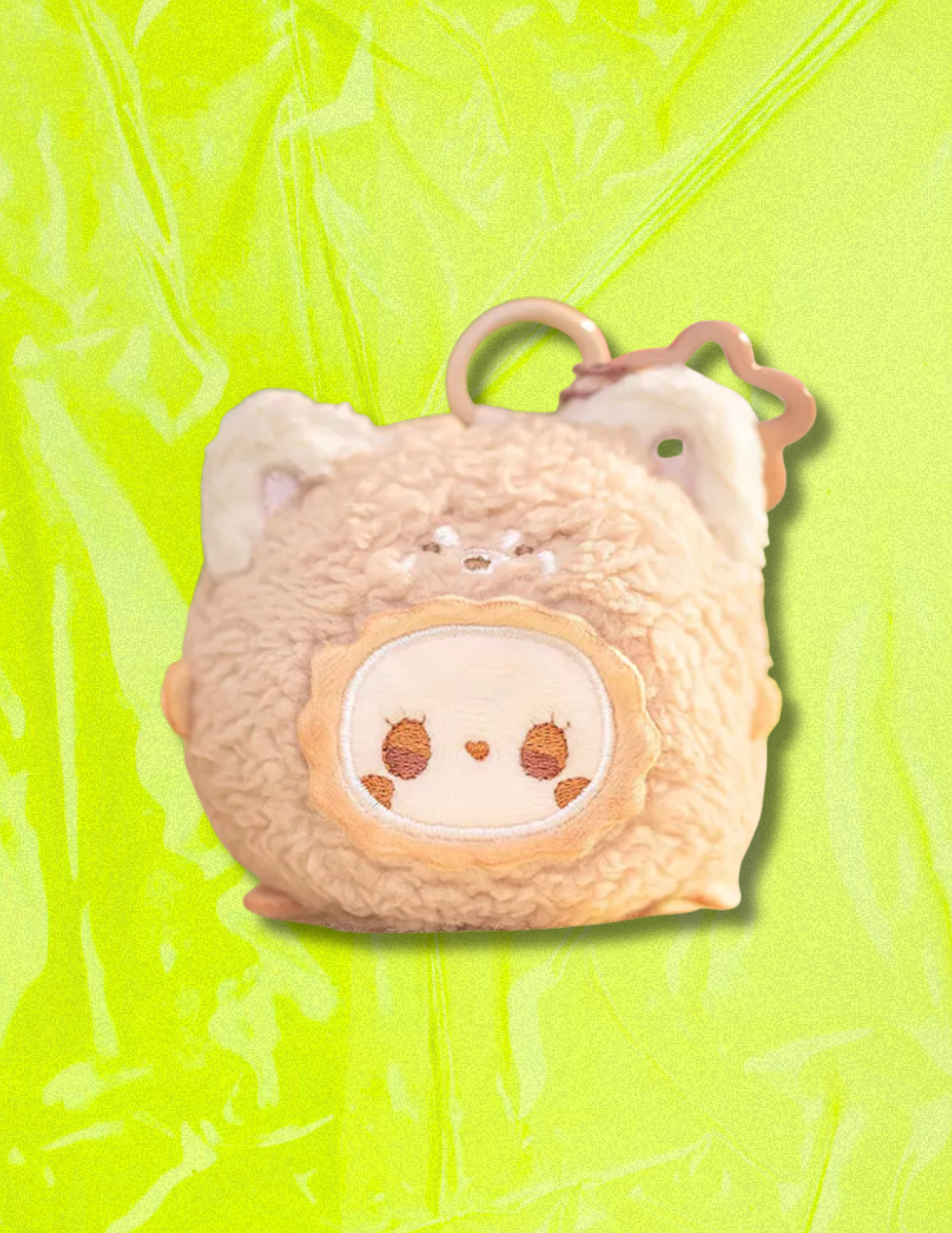 Website Photos (1).png