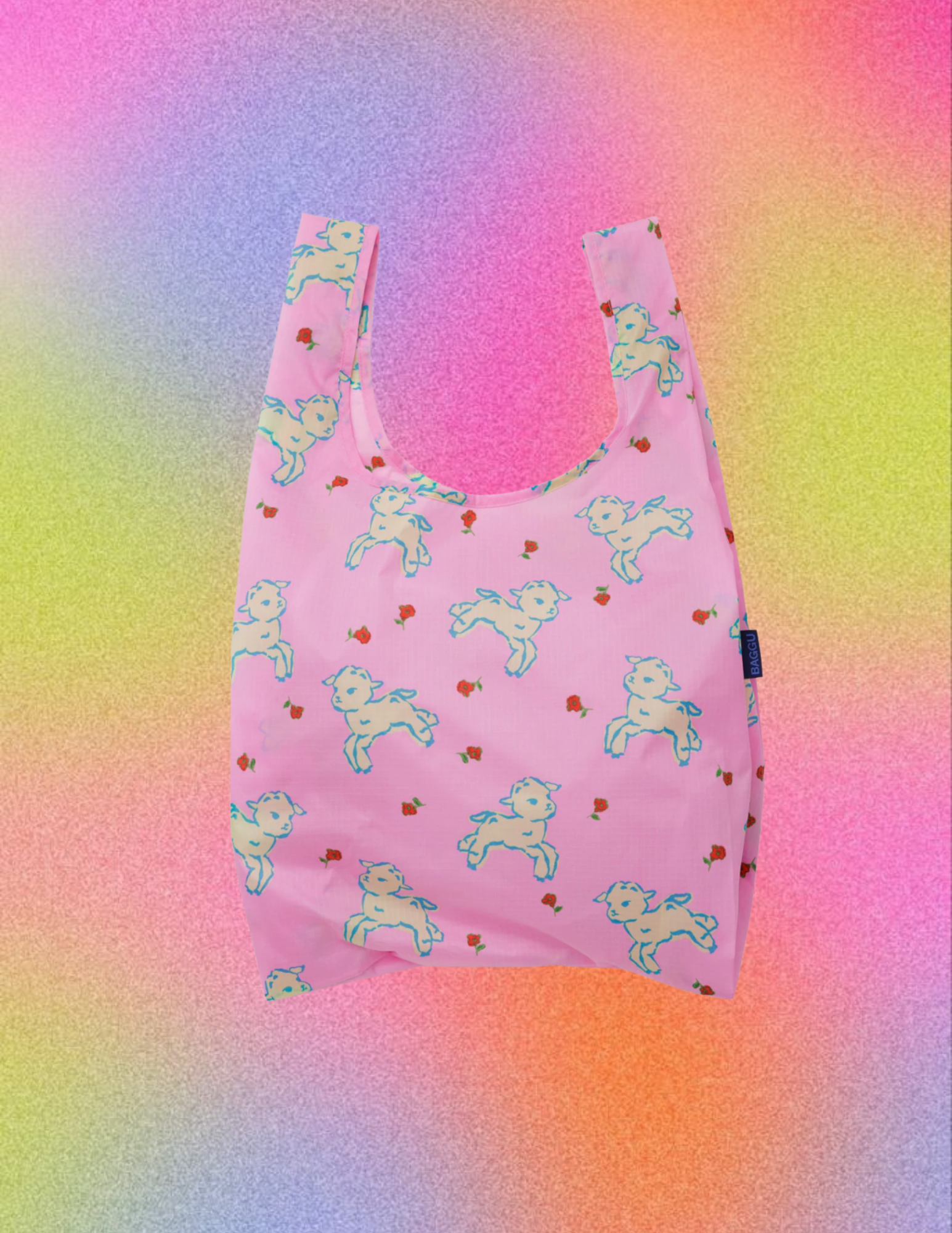 Website Photos - 2026-02-05T180742.020.png