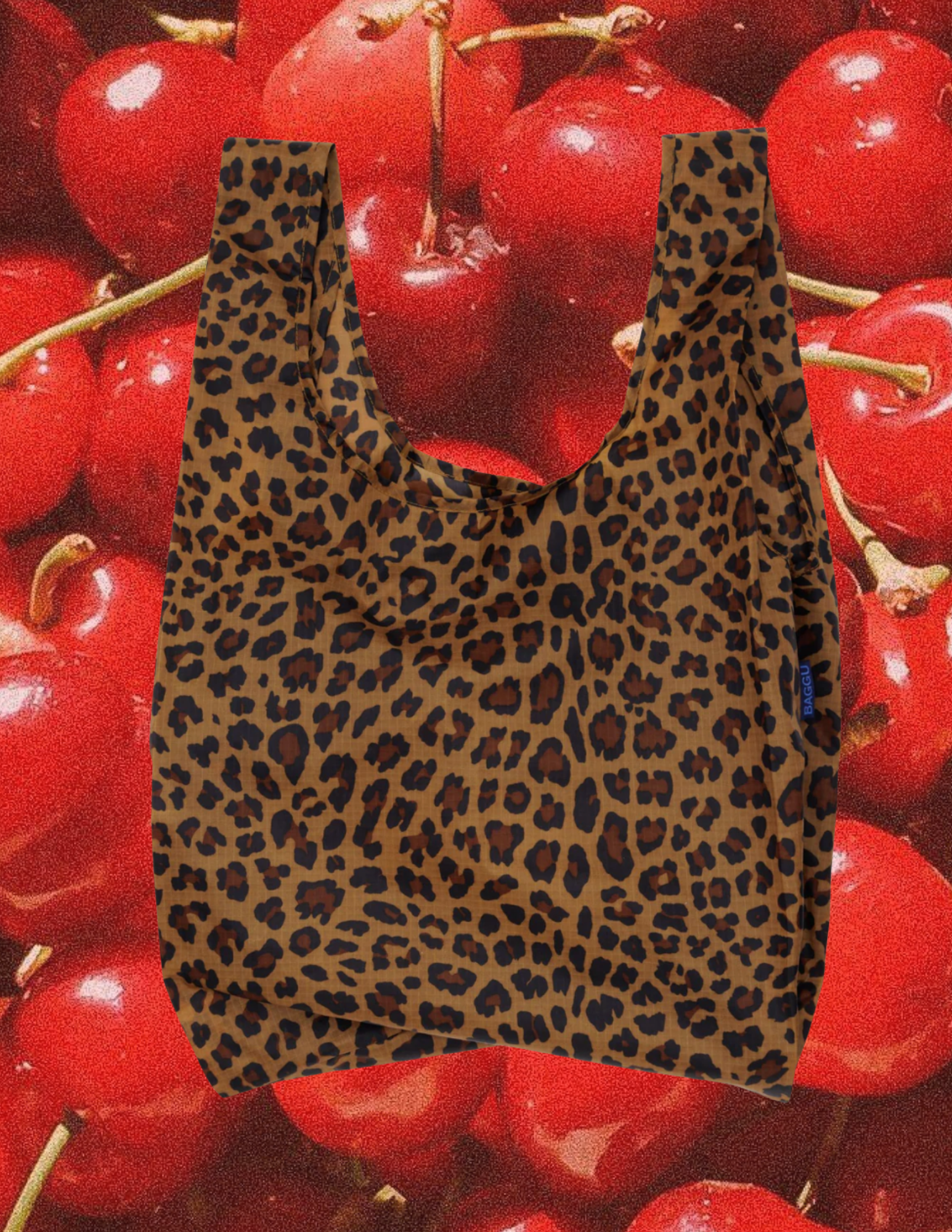 51.png (Copy)
