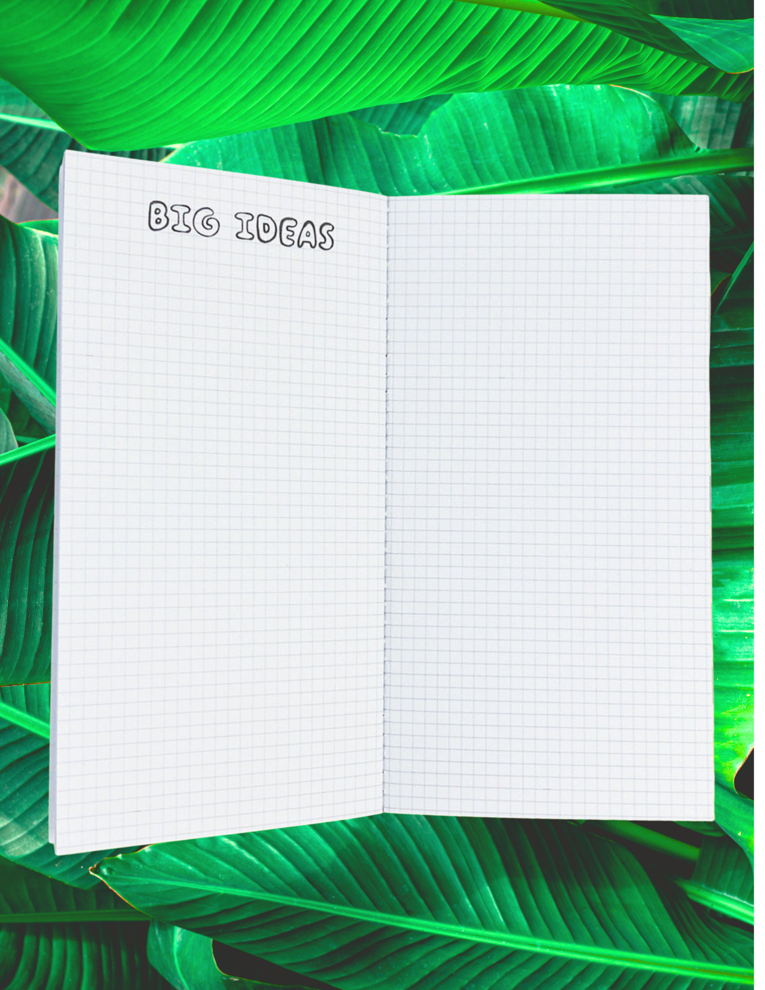 Website Photos - 2026-02-24T170209.287.png