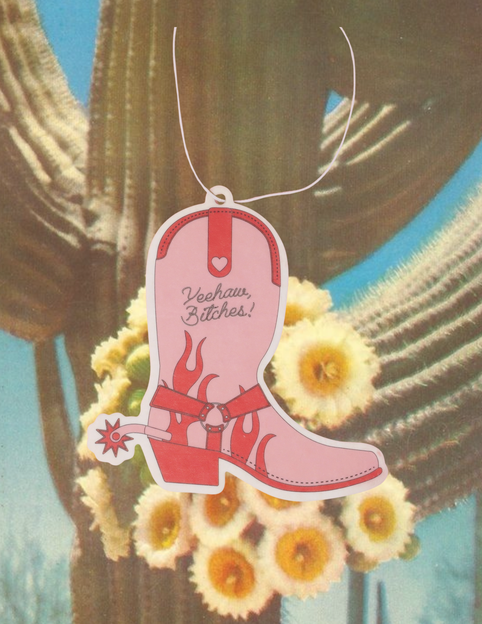 Website Photos (92) copy 7.png