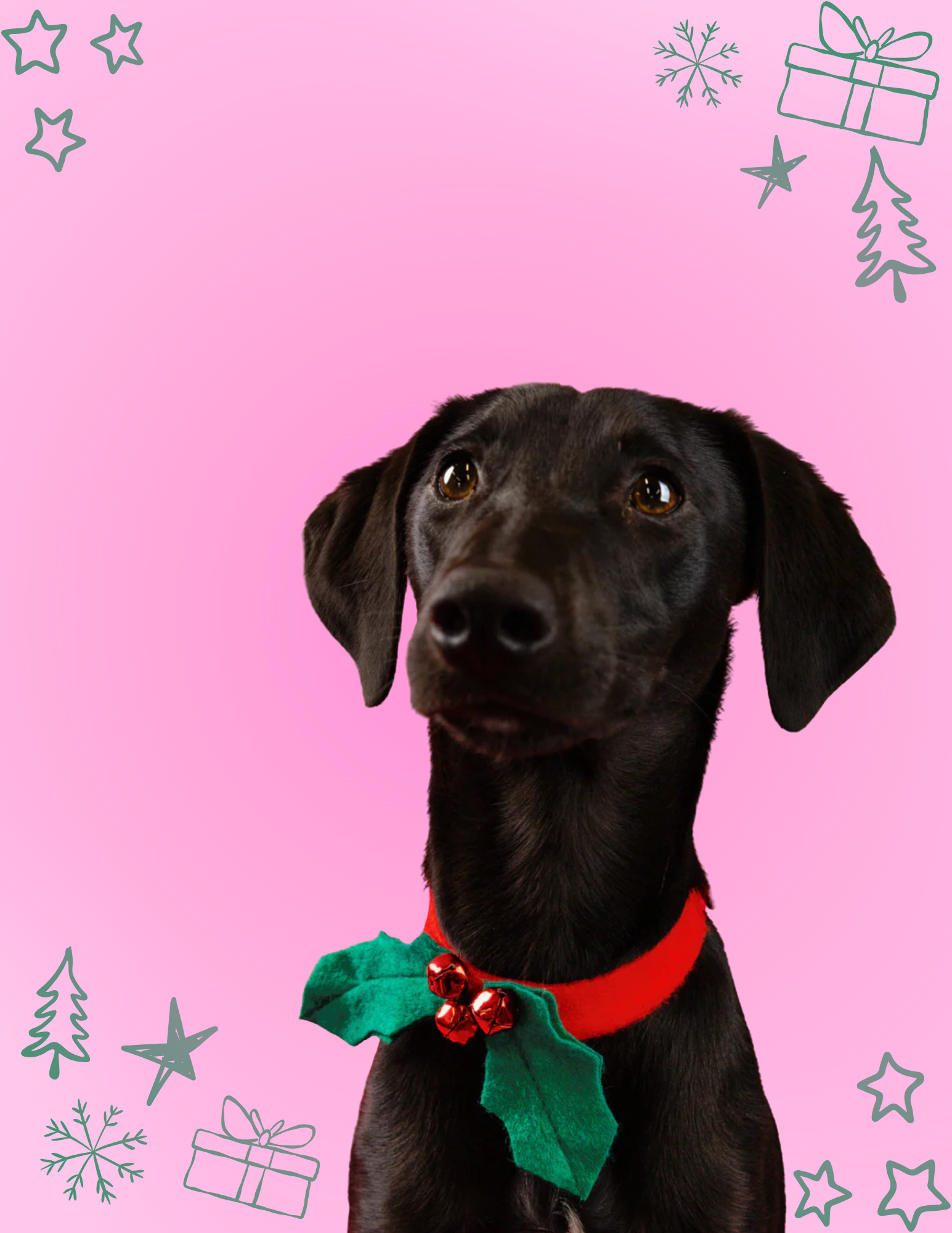 Website Photos (13).png