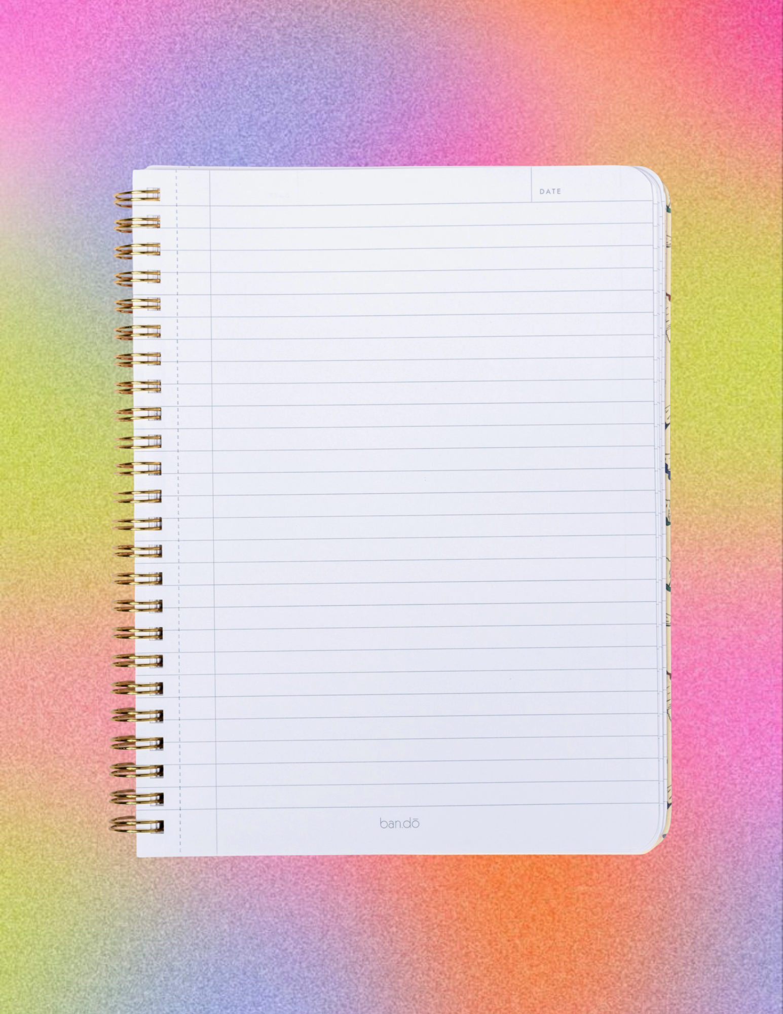 Website Photos (64).png