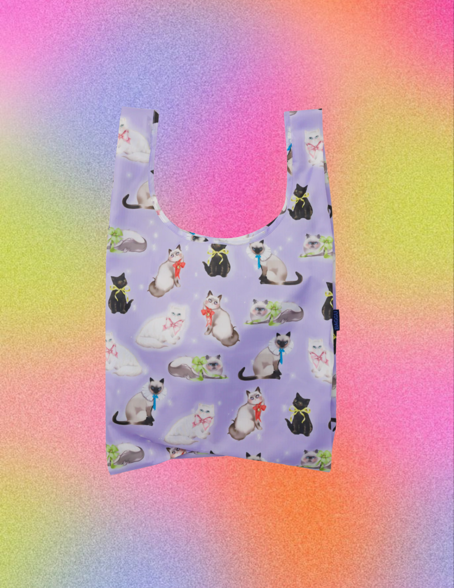 Website Photos - 2026-01-07T141055.256.png