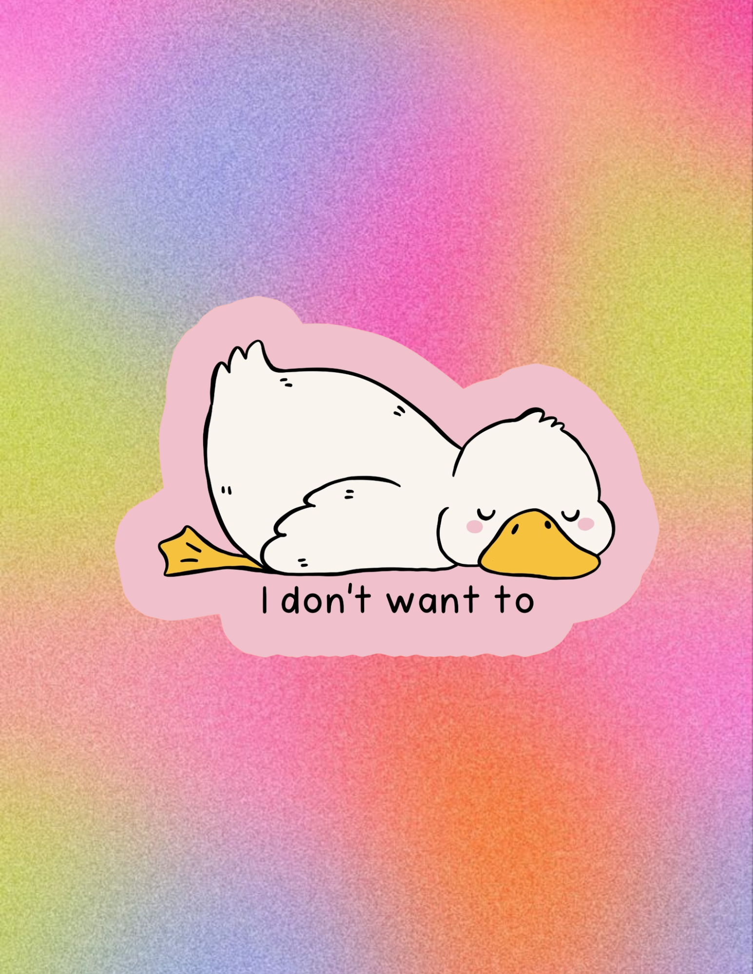 Website Photos (54).png
