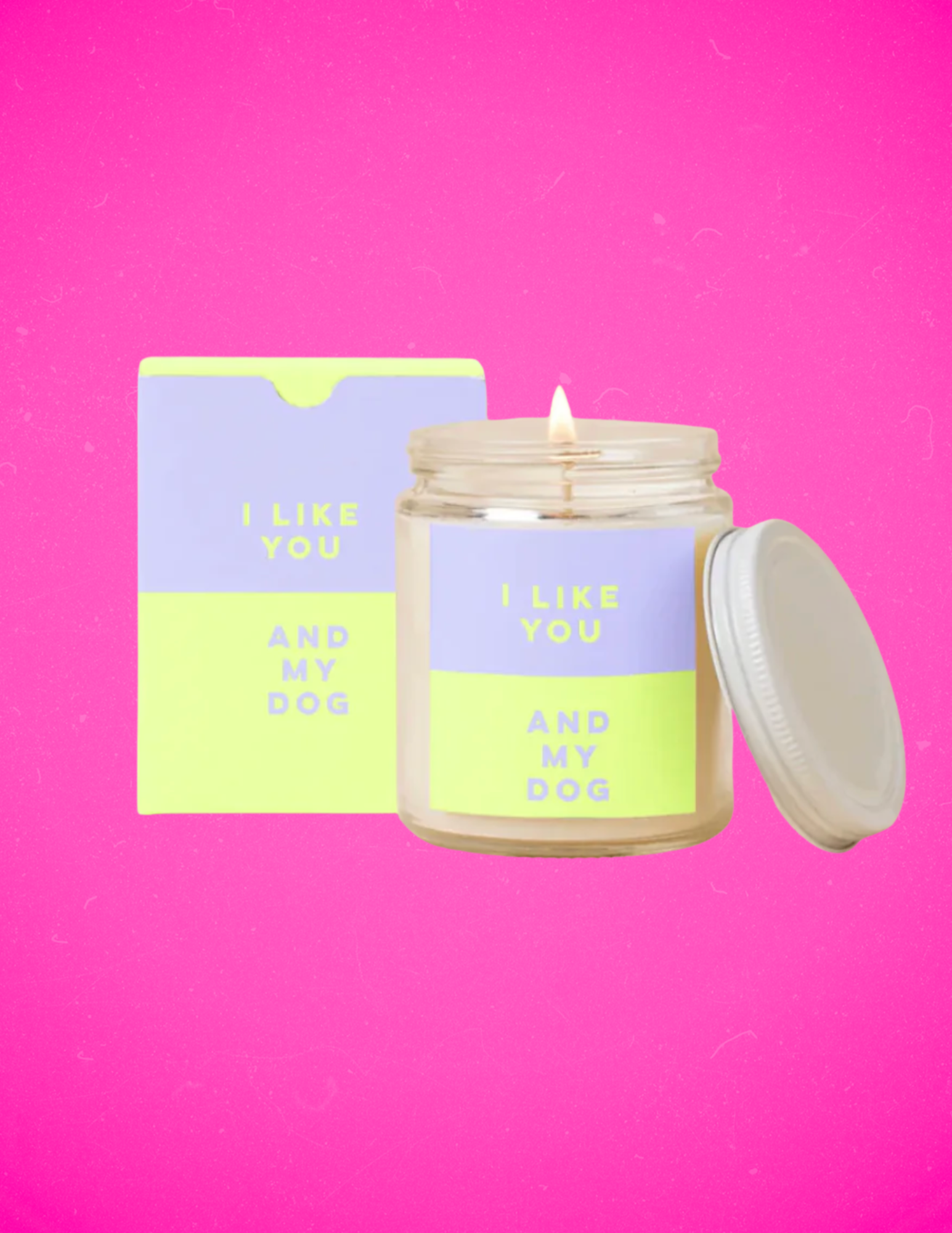 I Like You and My Dog Jar Candle