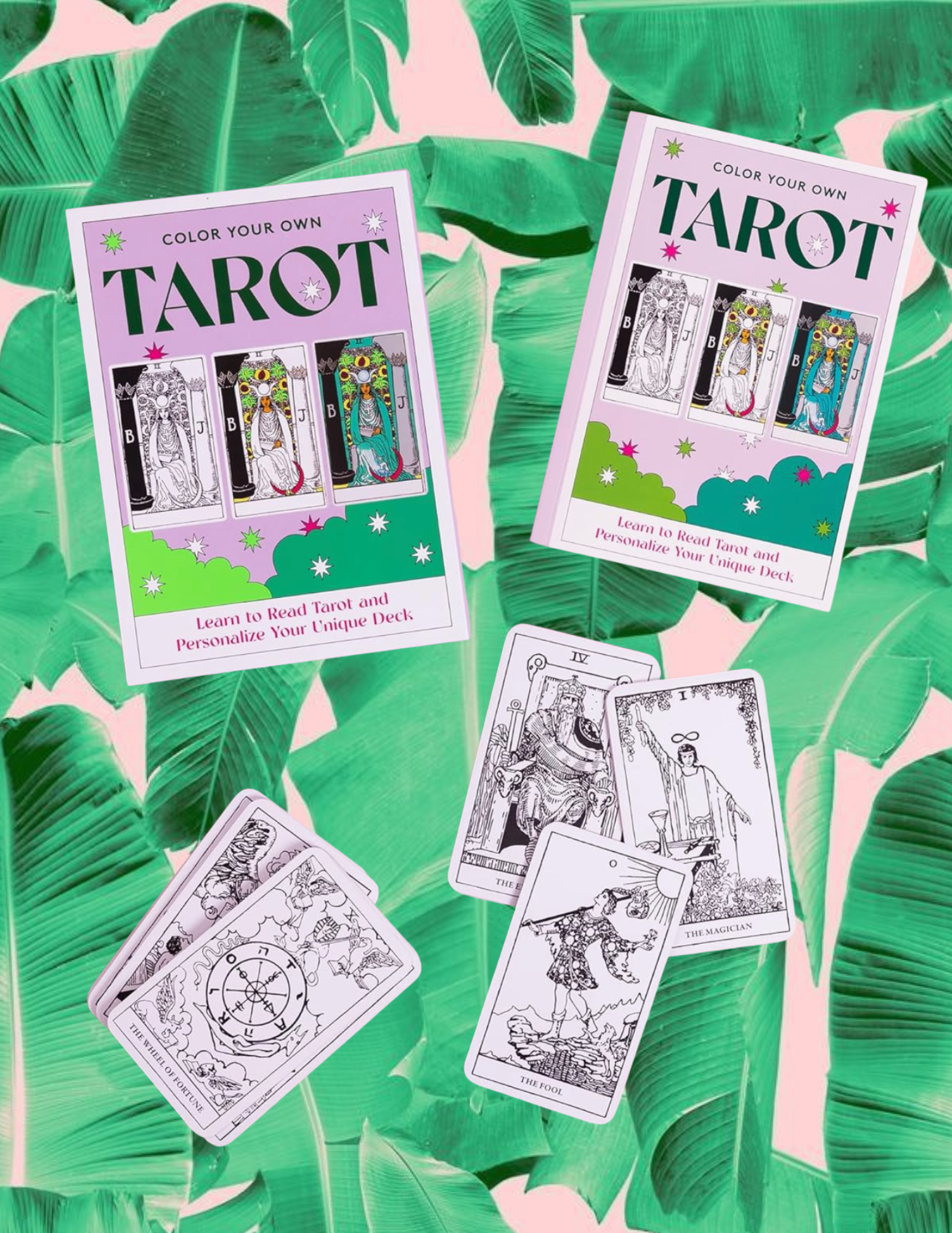 Website Photos - 2026-01-02T101758.671.png