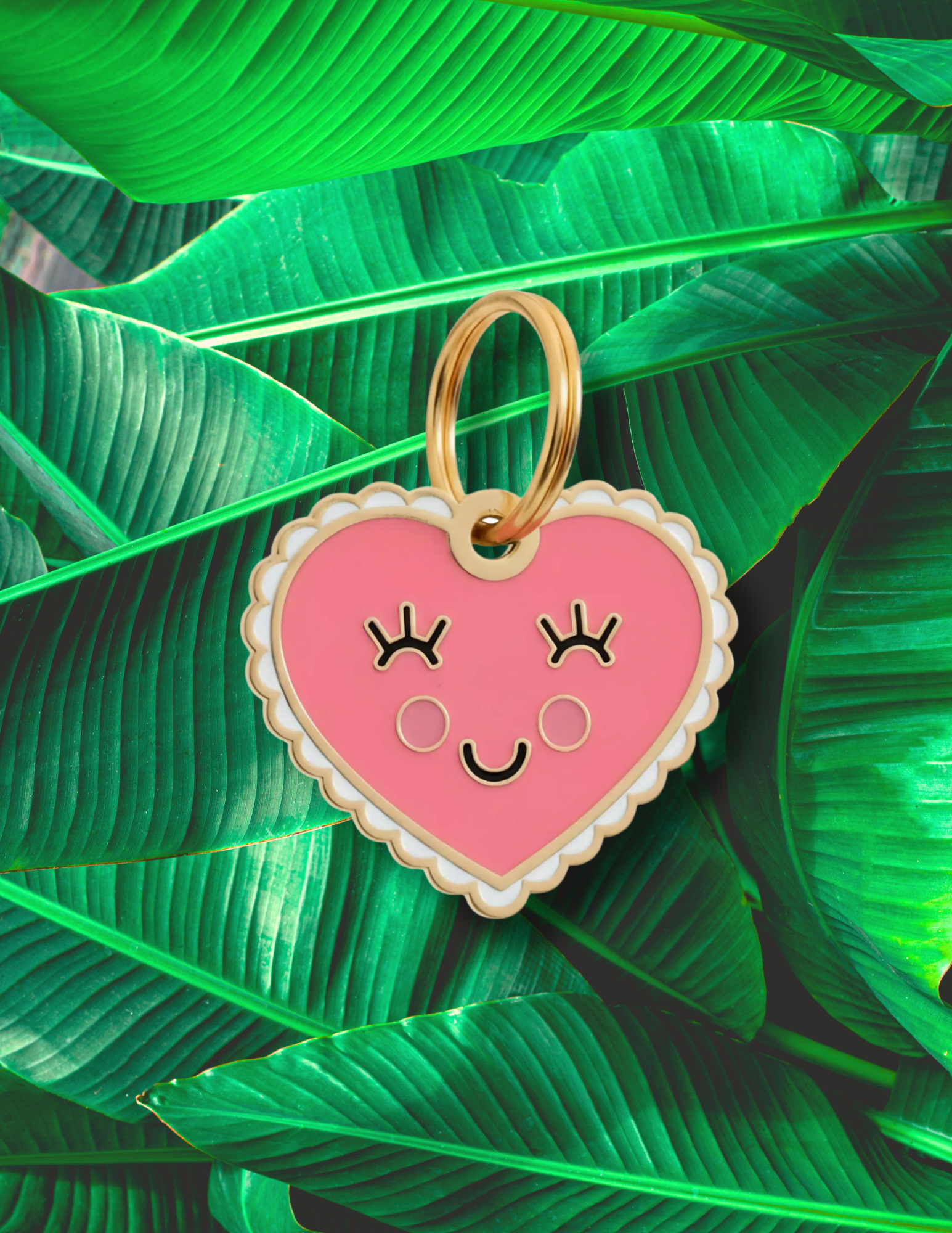 Website Photos - 2026-03-27T185245.584.png