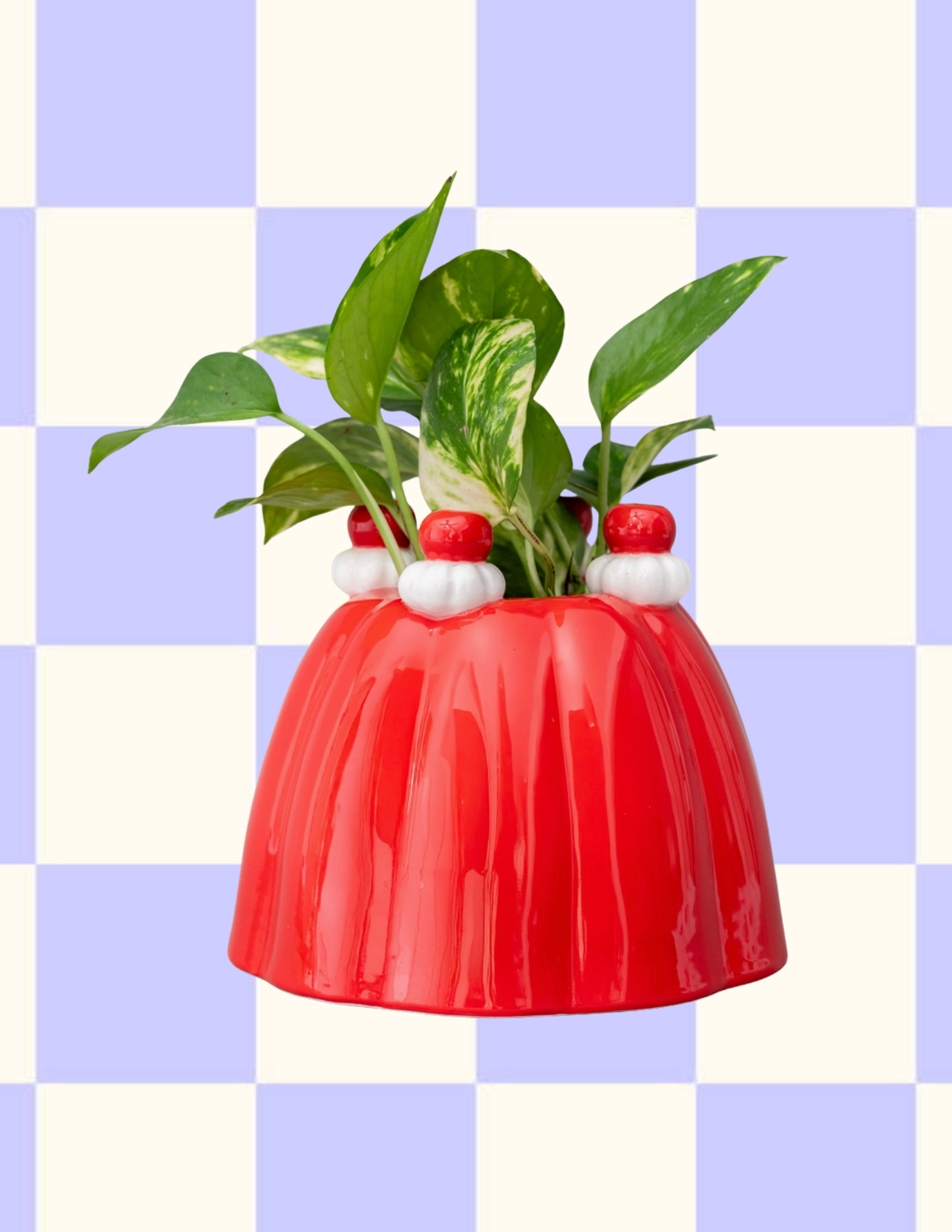 Website Photos (60).png