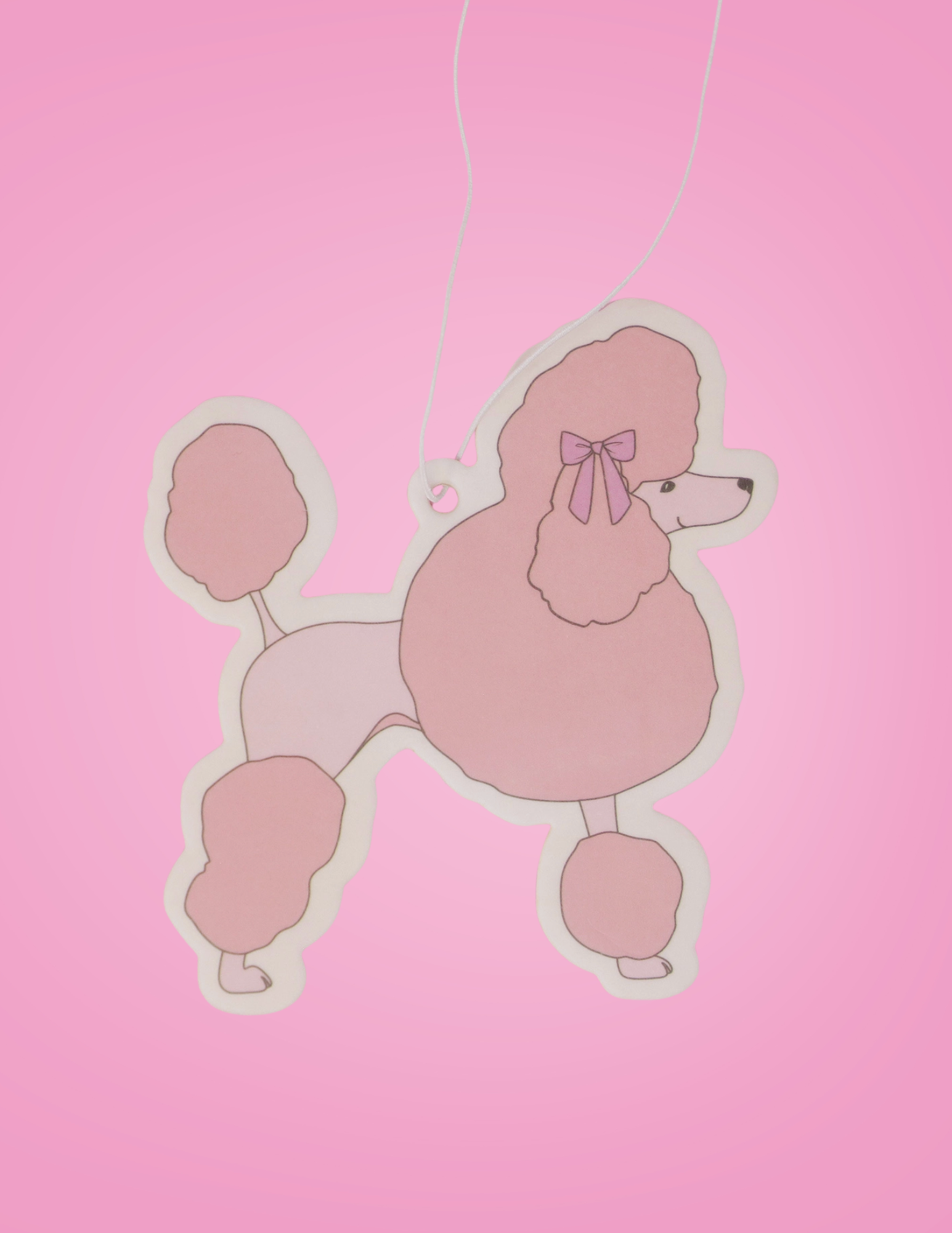 Website Photos (92) copy 19.png