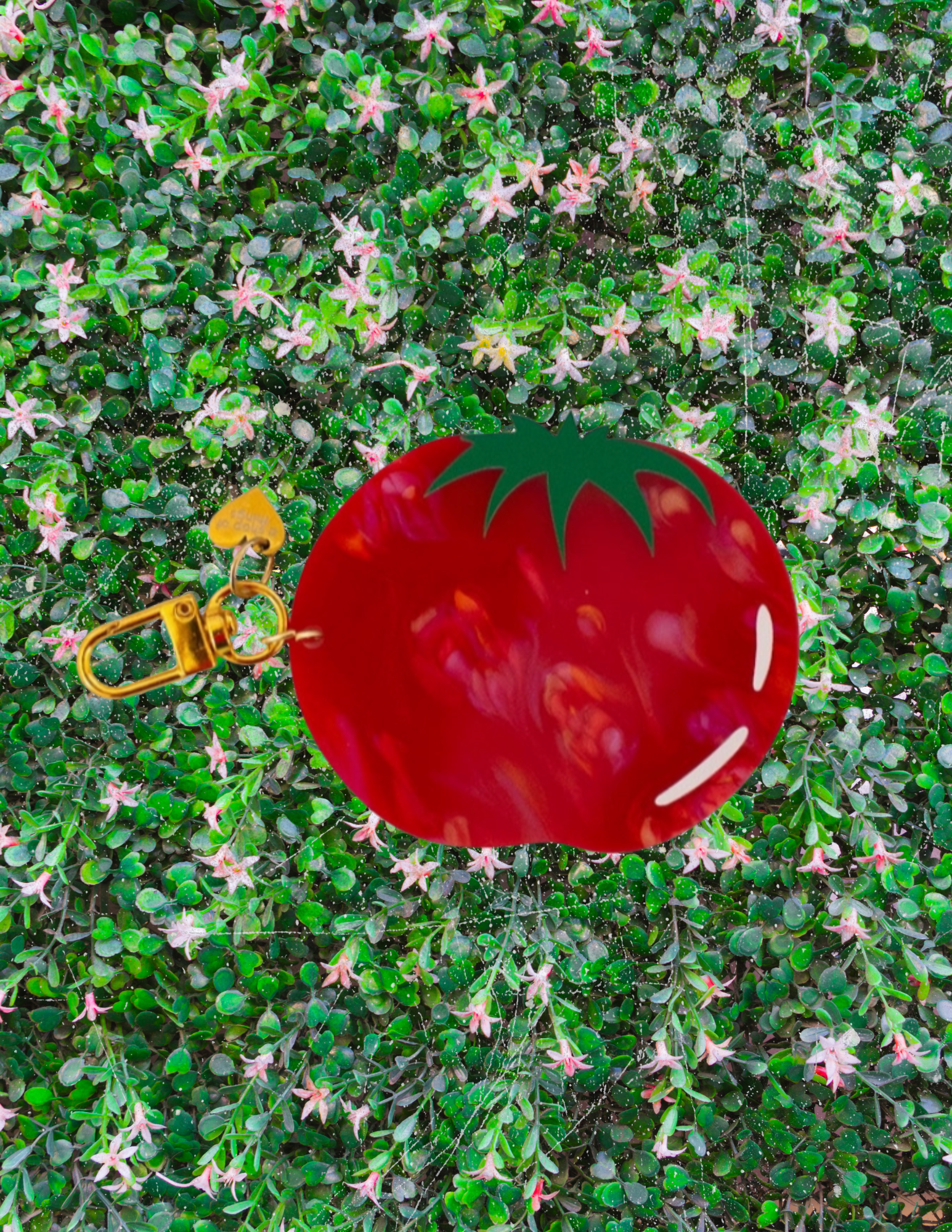 Tomato Keychain