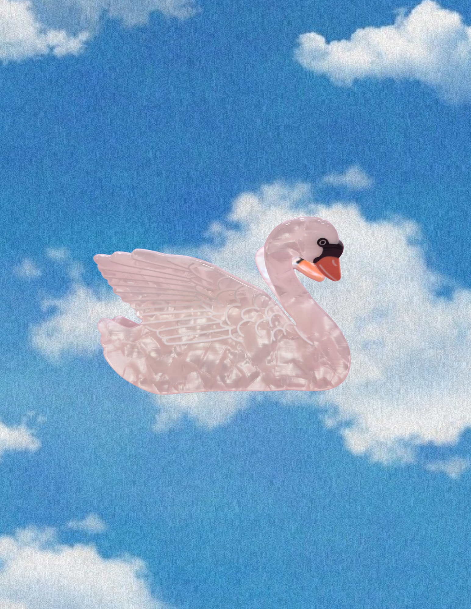 Website Photos (47).png