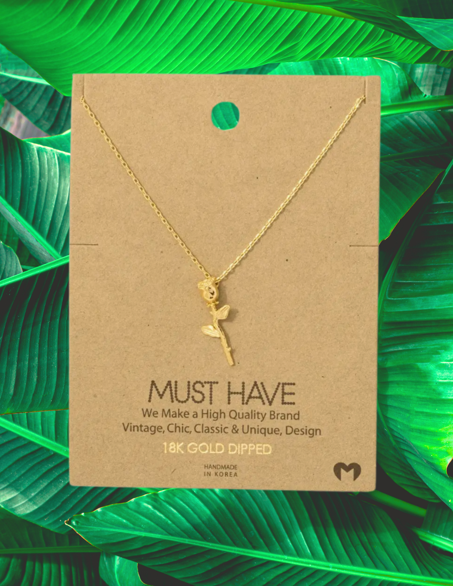 Website Photos (44).png