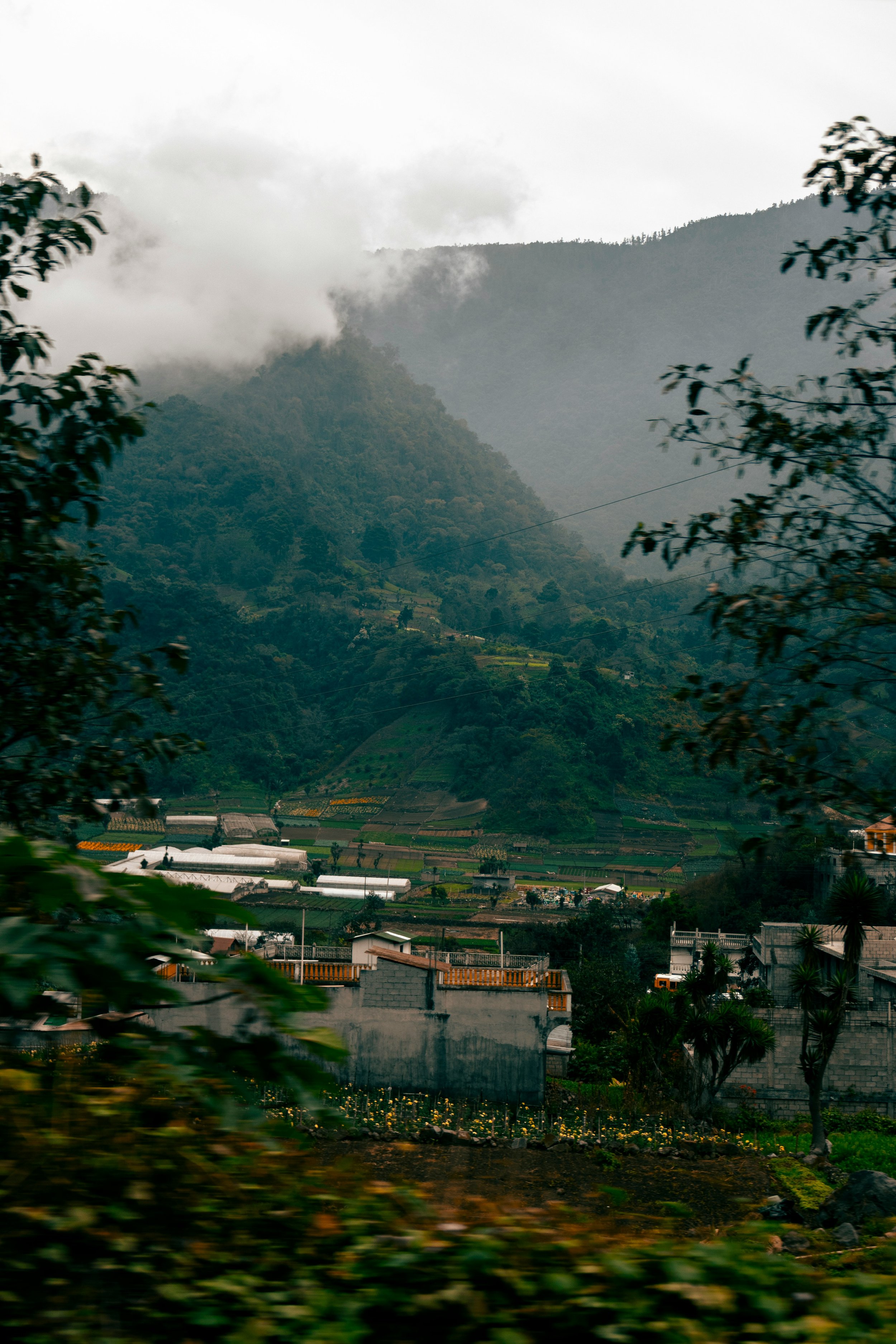 DESARROLLO RURAL SOSTENIBLE