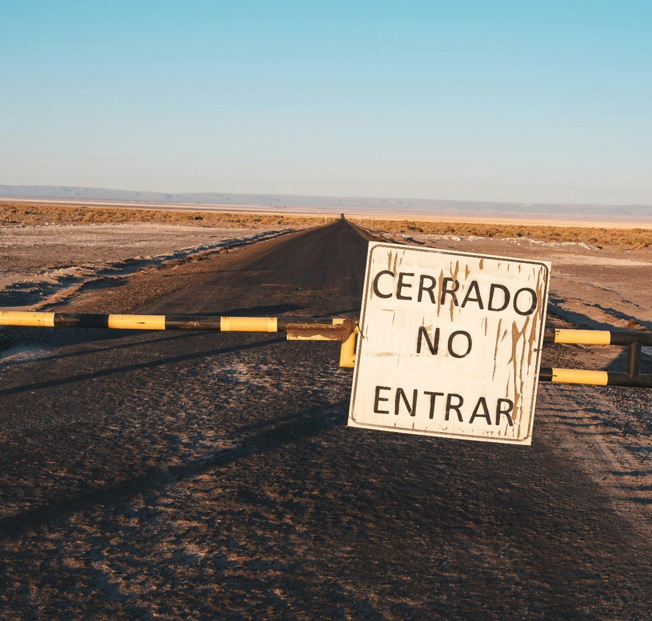 EL FALSO ENCANTO DEL PROTECCIONISMO