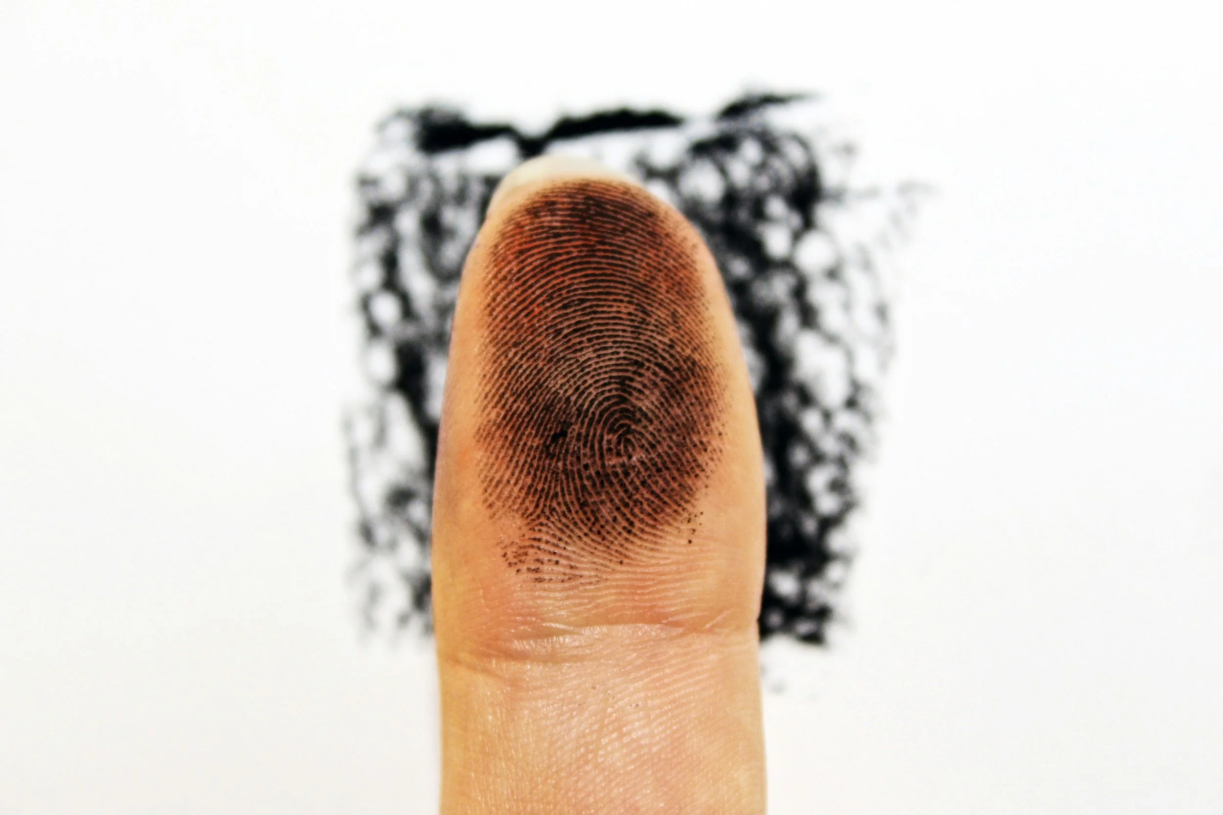 REFORMAS AL SISTEMA ELECTORAL