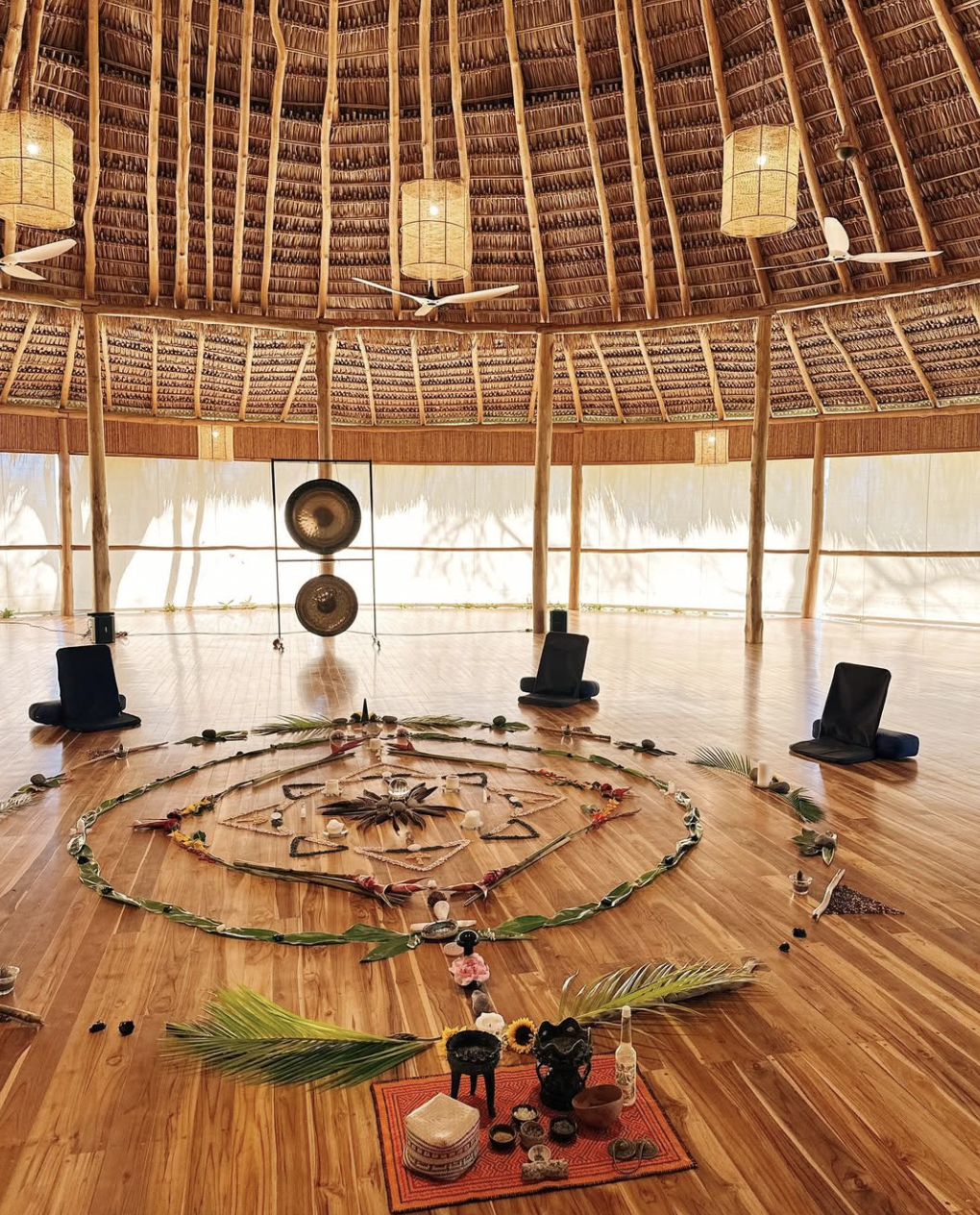 The 7 Day Reset
